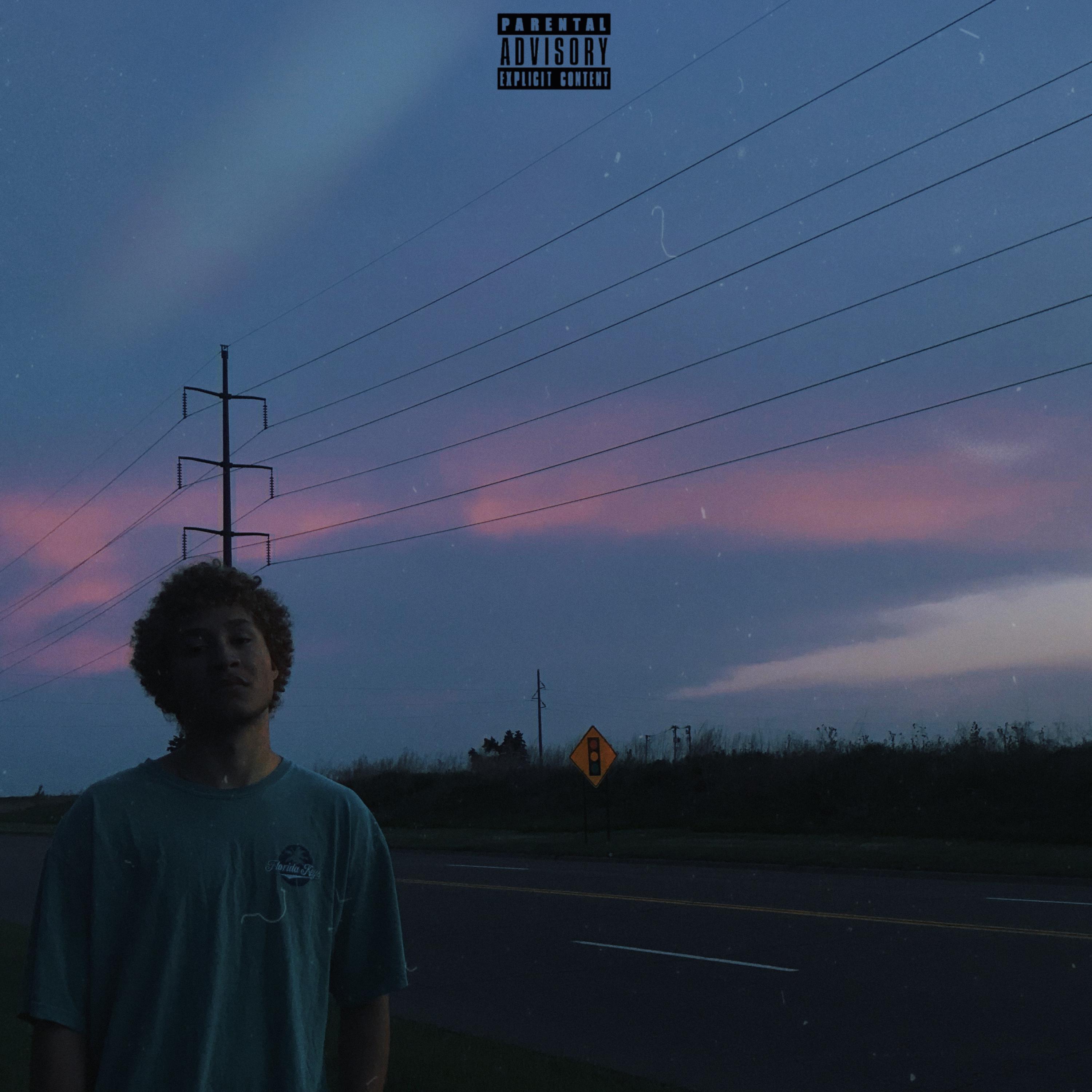 Life in Pictures artwork