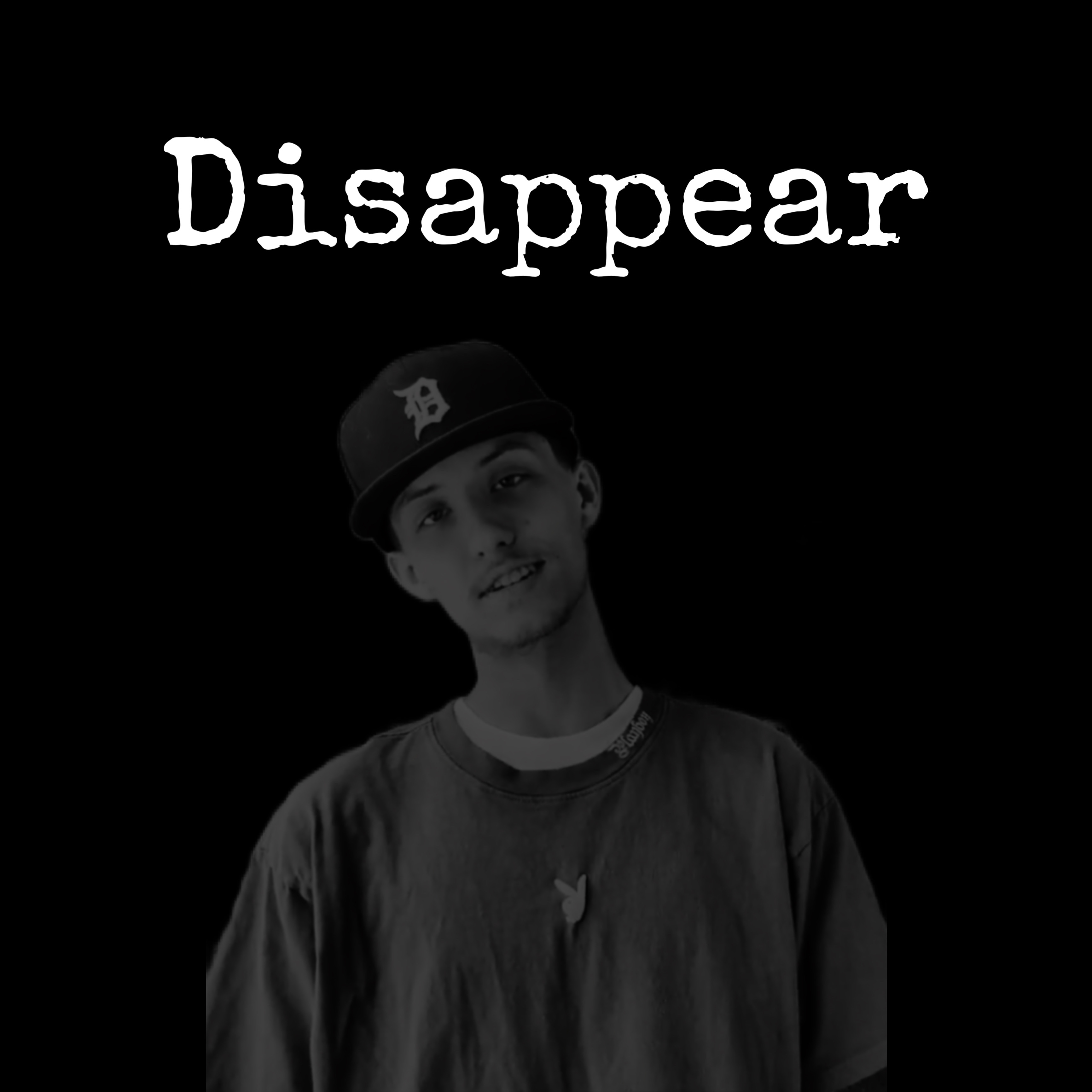 Disappear artwork