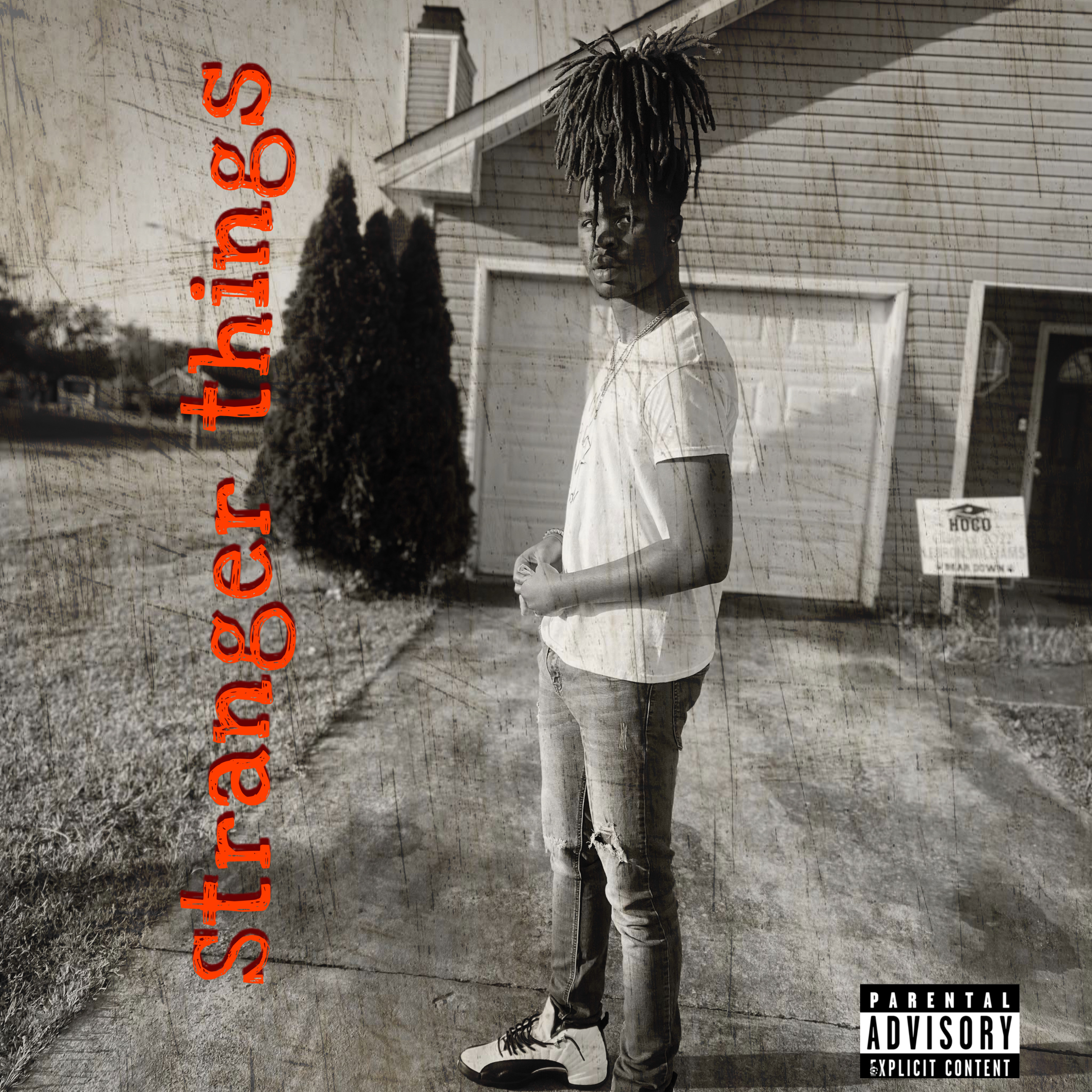 Stranger Things artwork