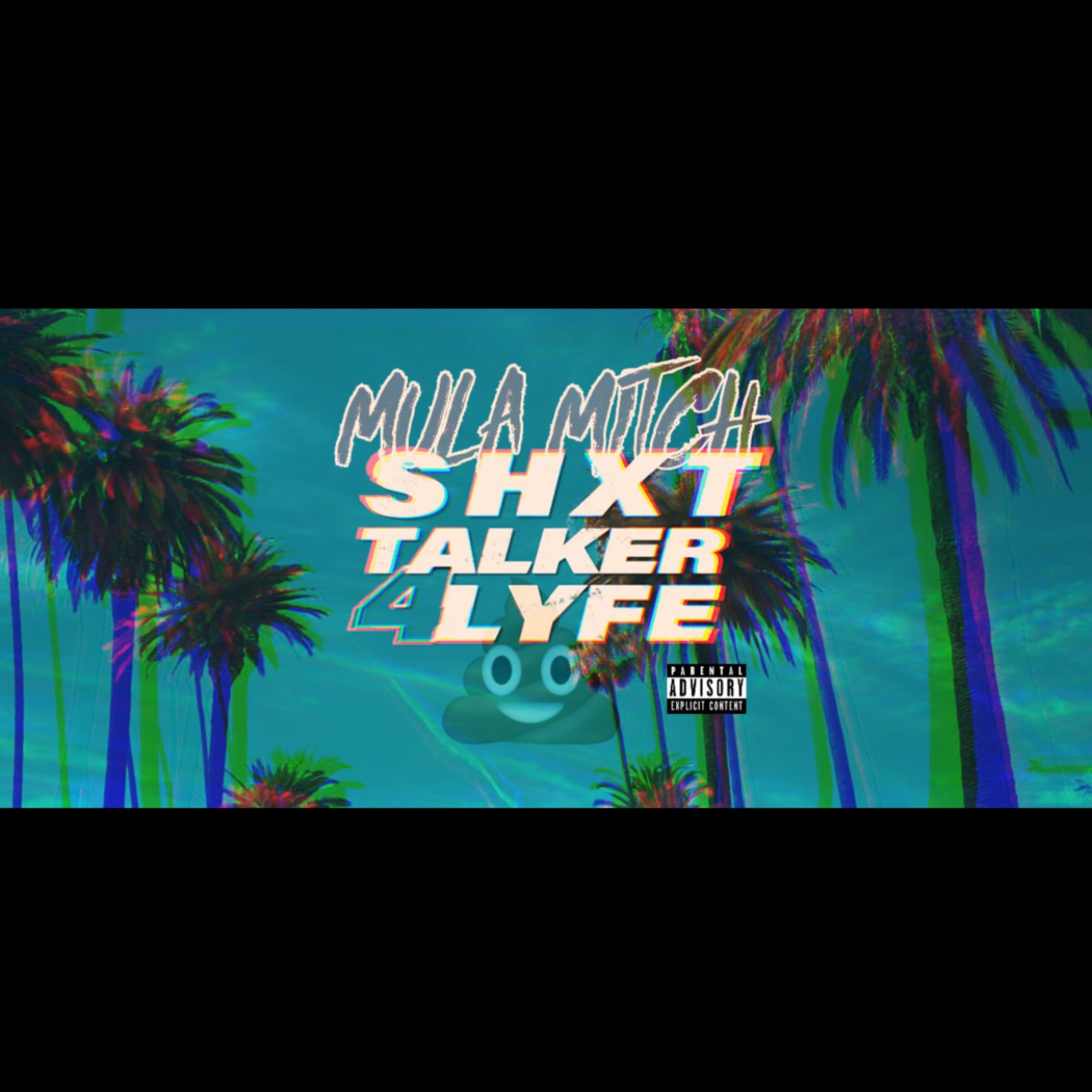 Shit Talker 4 Lyfe by Mula Mitch cover art