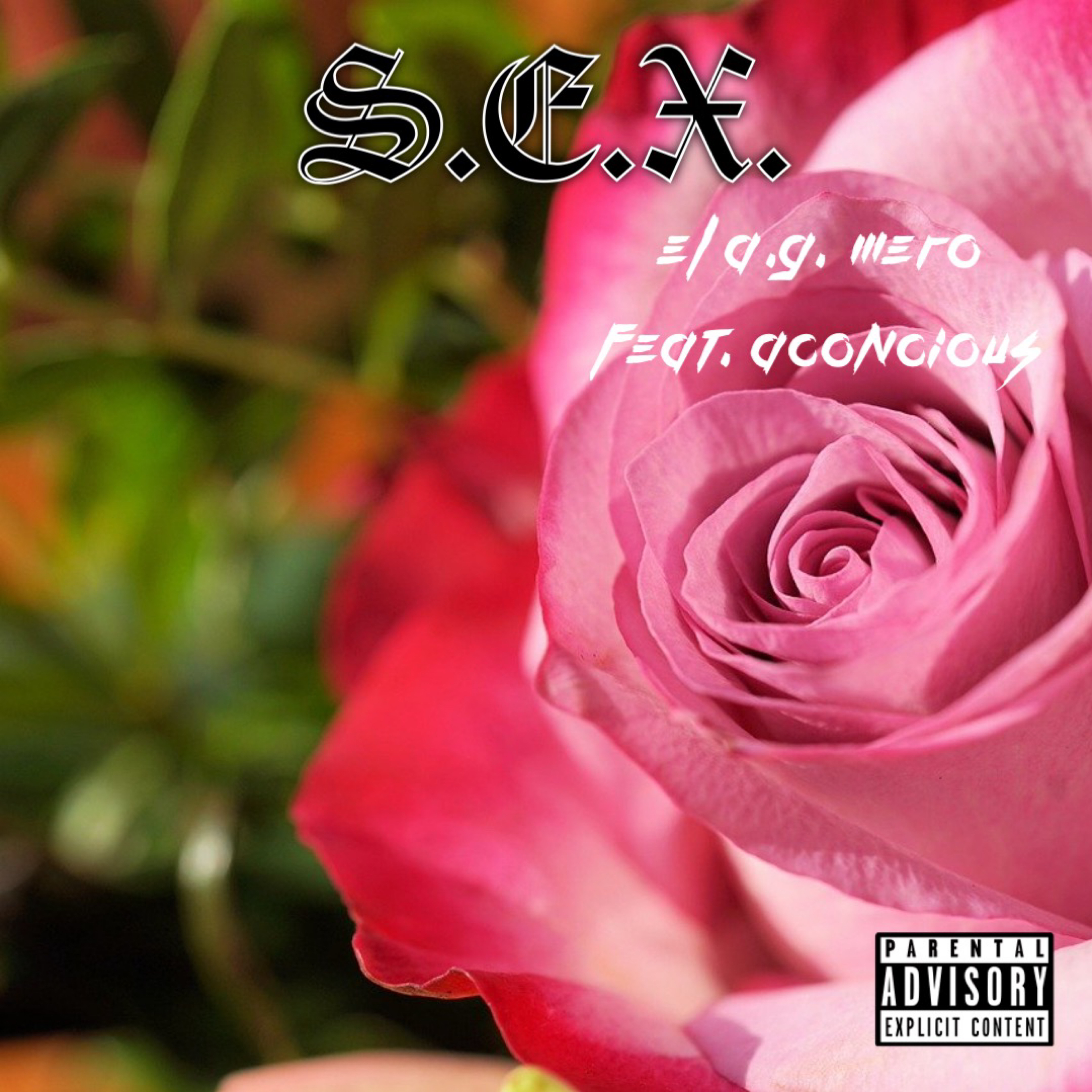 S.E.X. artwork