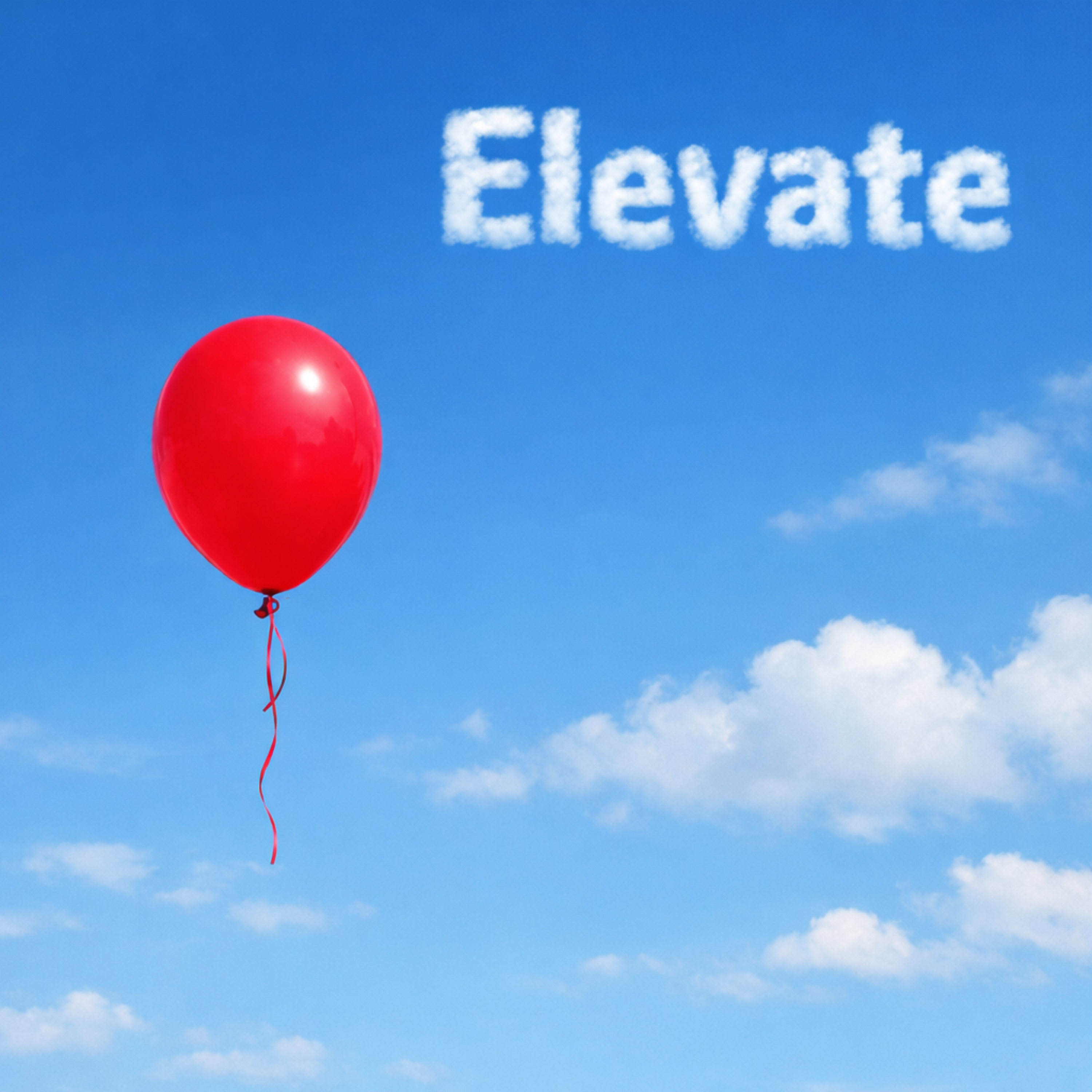 Elevate artwork