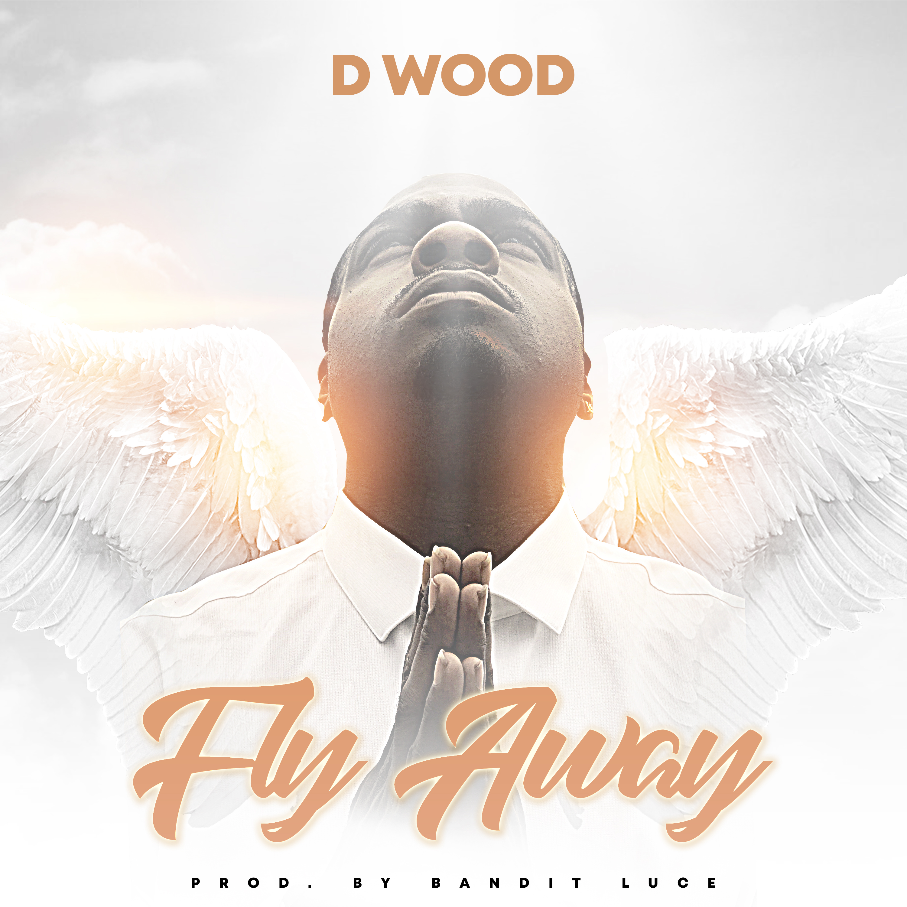 Fly Away artwork