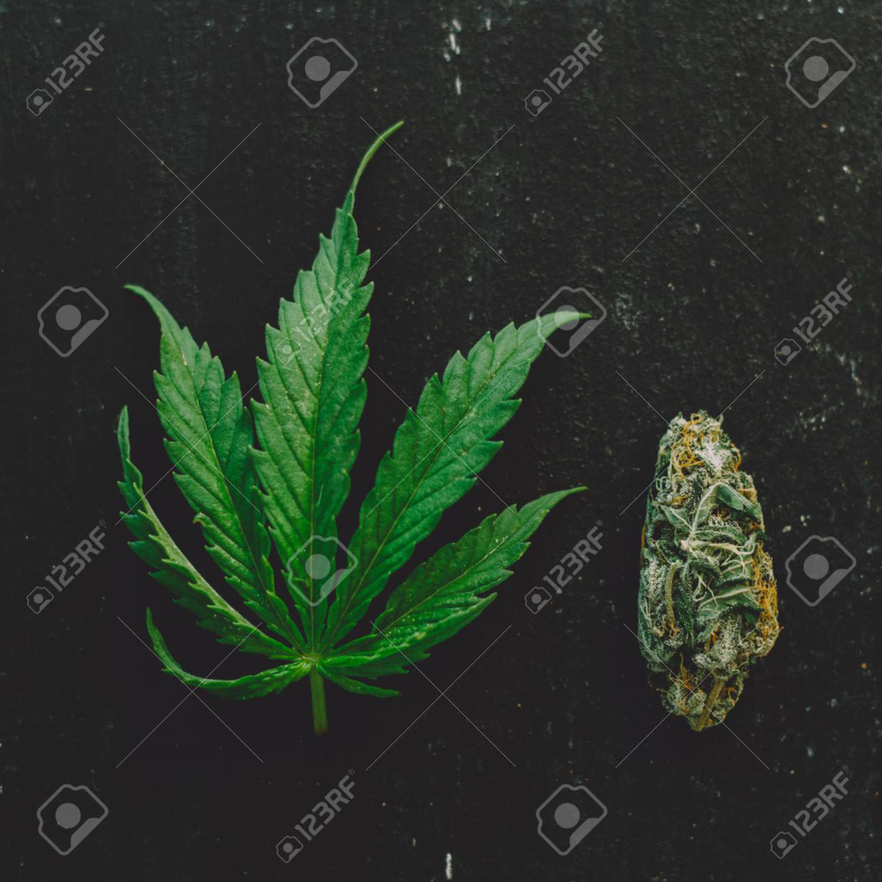 Marijuana artwork