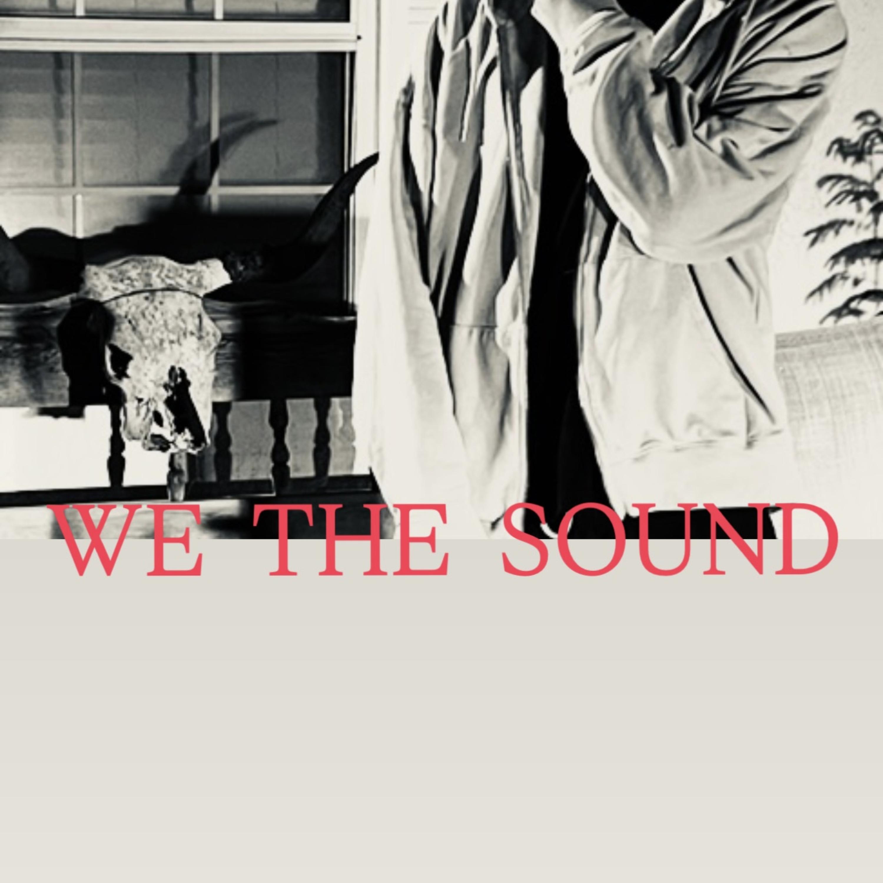 WE THE SOUND by SATRRN cover art