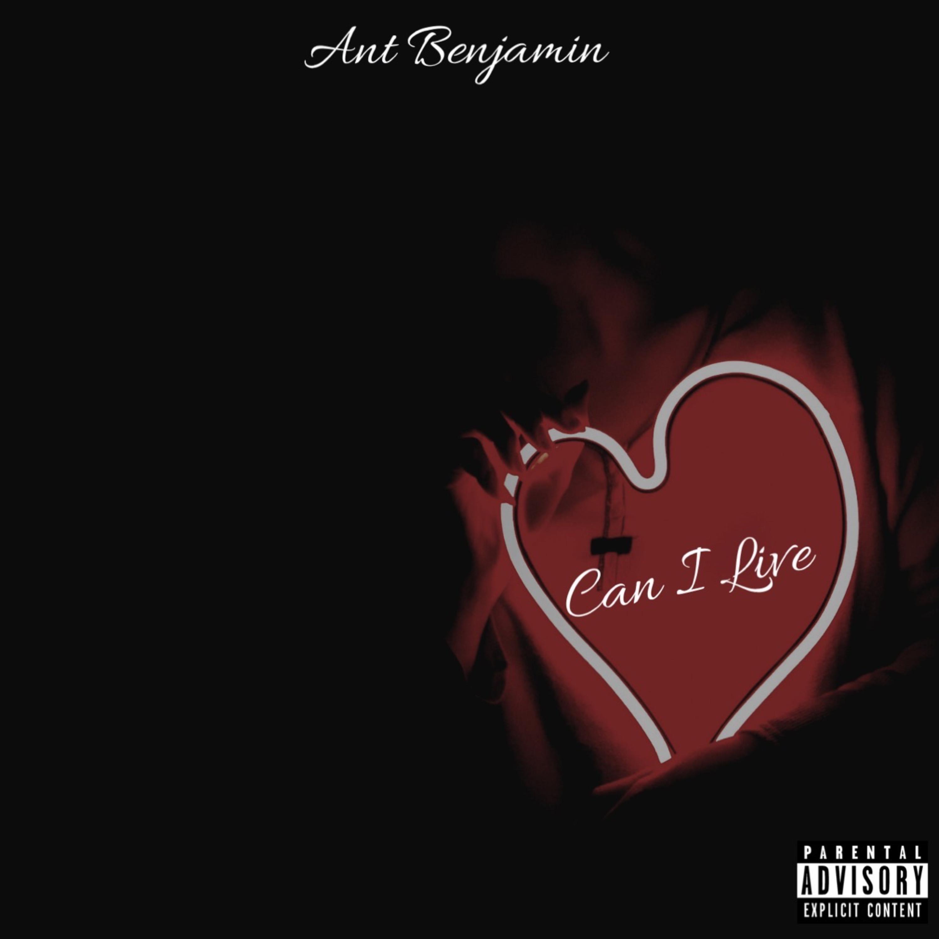Can I live artwork