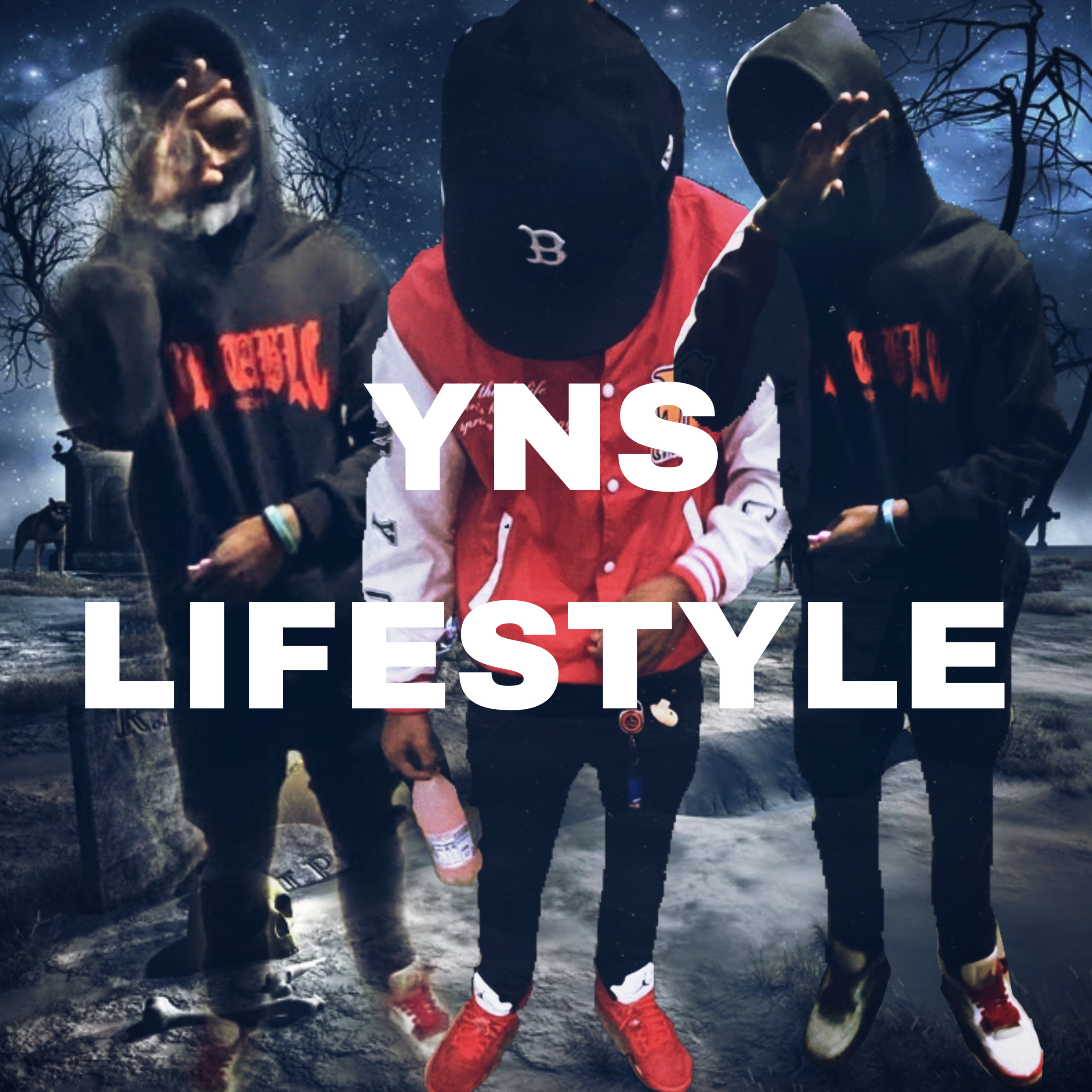 YNS Lifestyle artwork