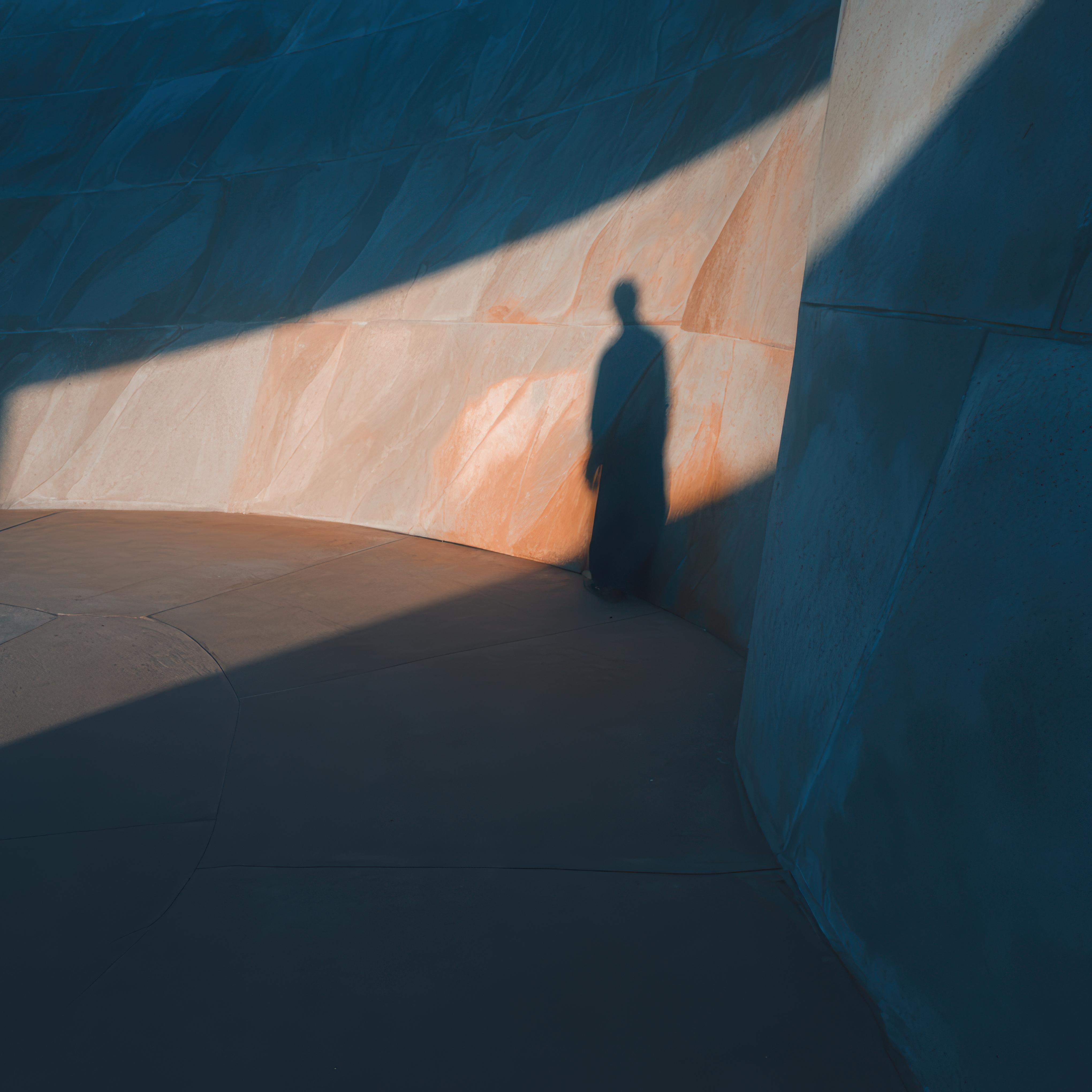 Shall Abide Under The Shadow artwork