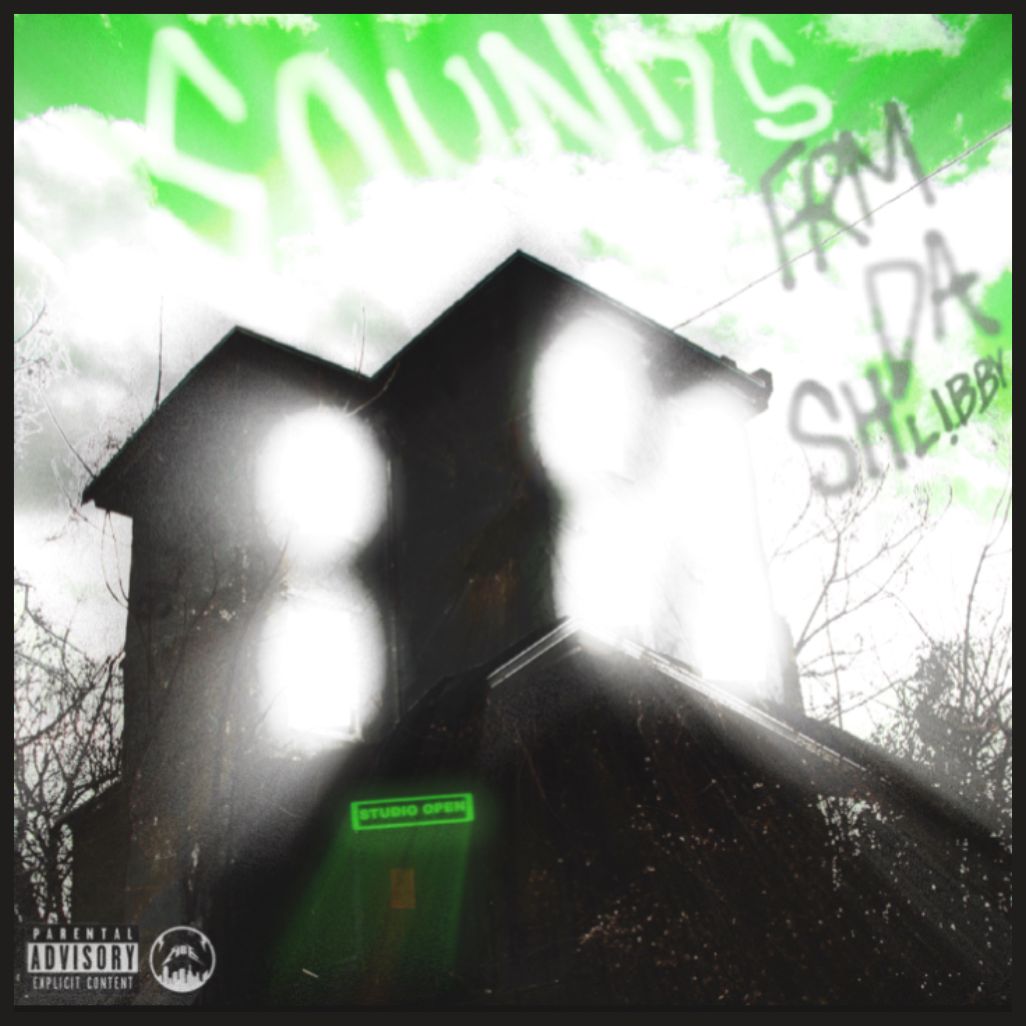 SOUNDS FRM DA SHLIBBY VL.1 artwork