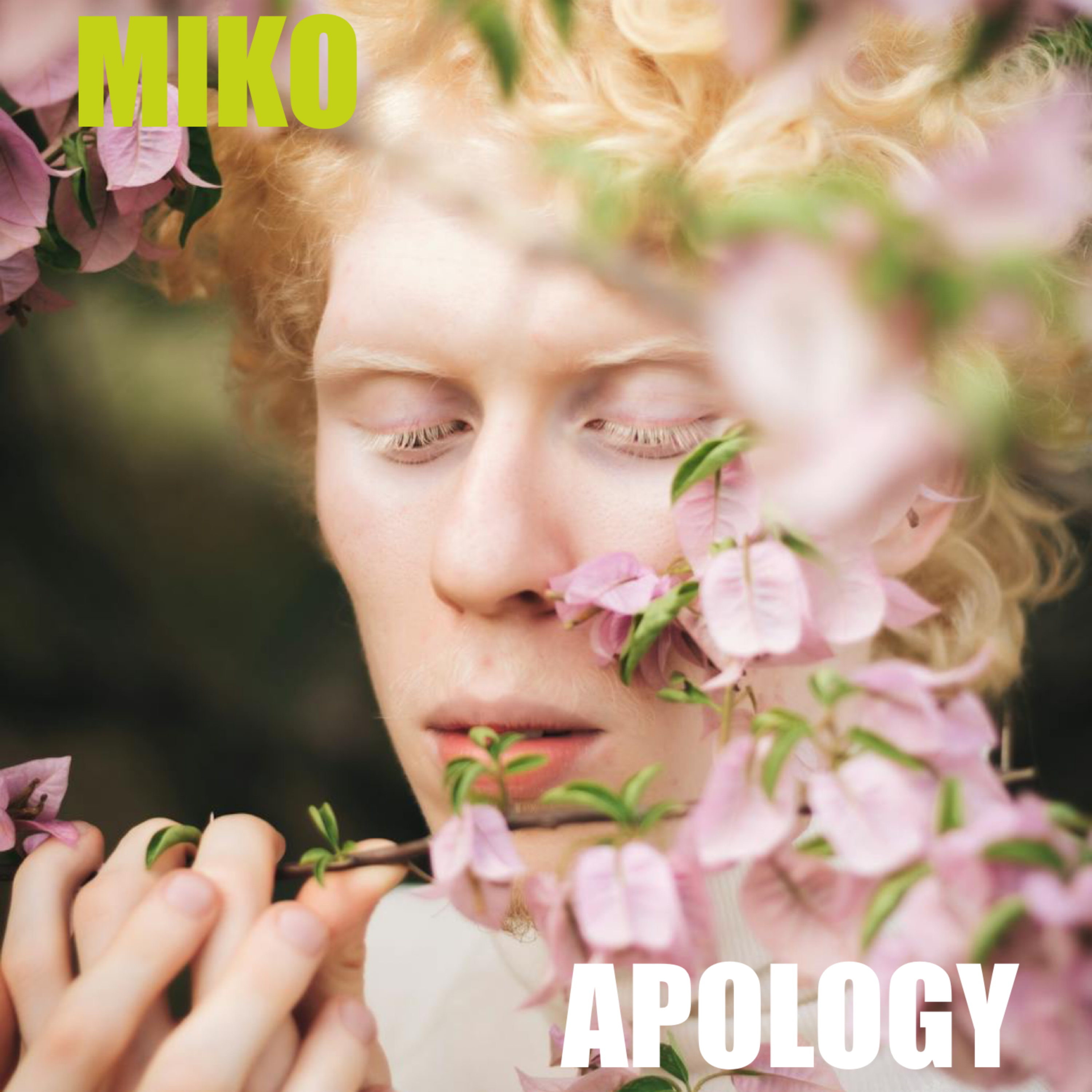 APOLOGY artwork