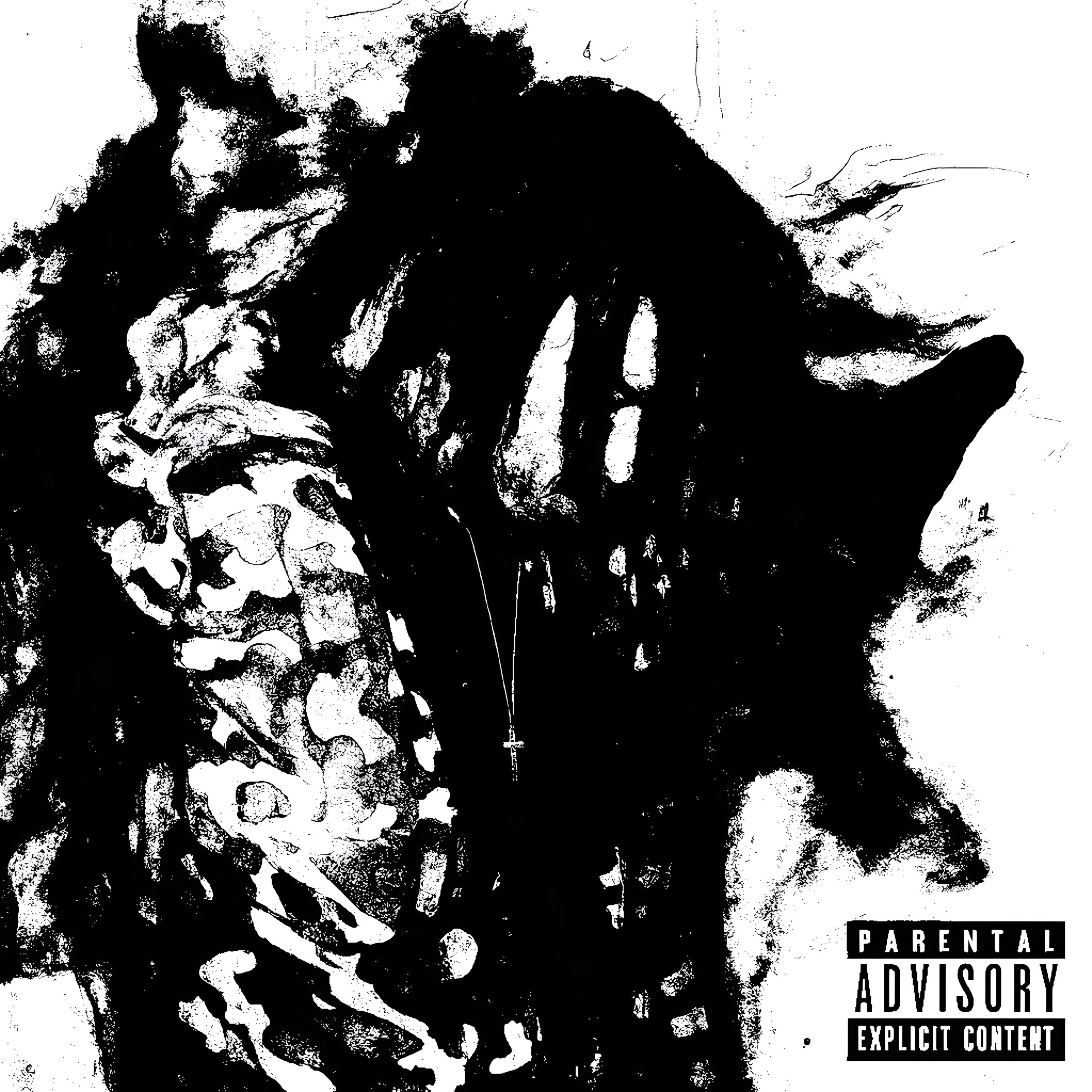 SZN 1.5 artwork