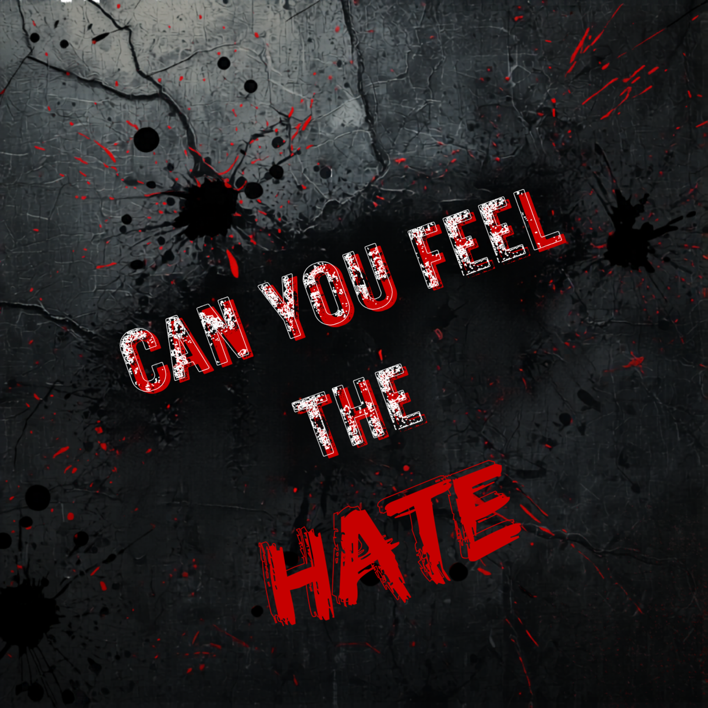 Can You Feel The Hate by ChefBoy O.C. cover art