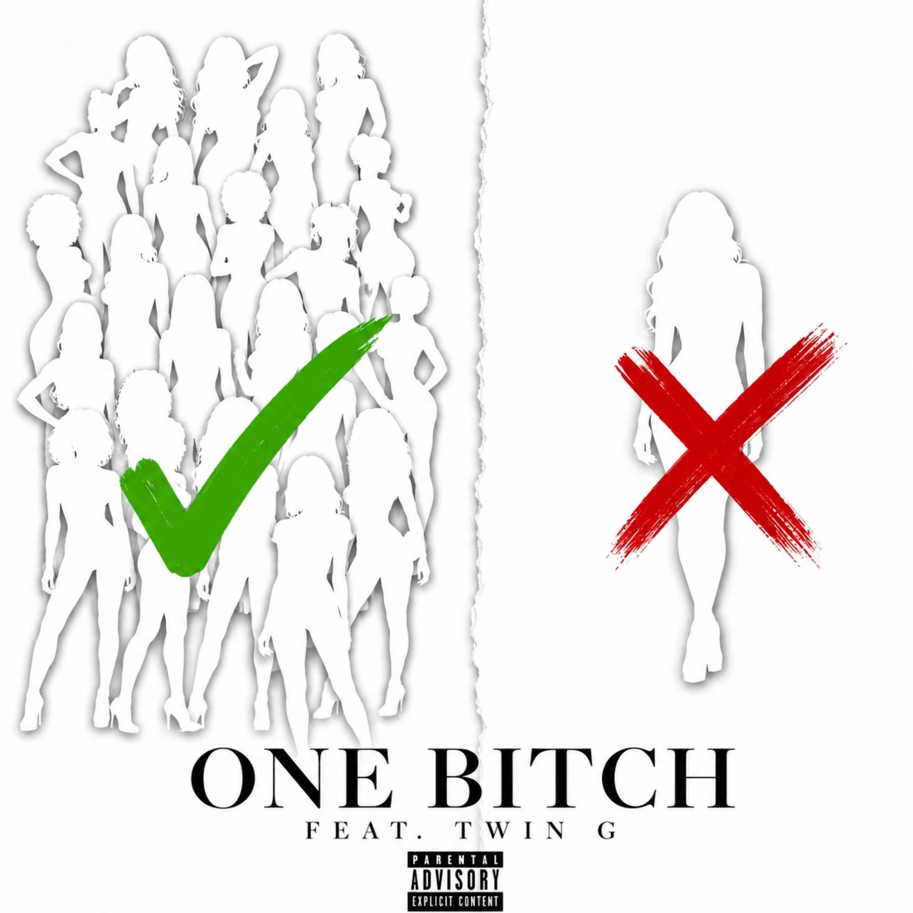 One Bitch by Mafia aka Skuntdunanna cover art
