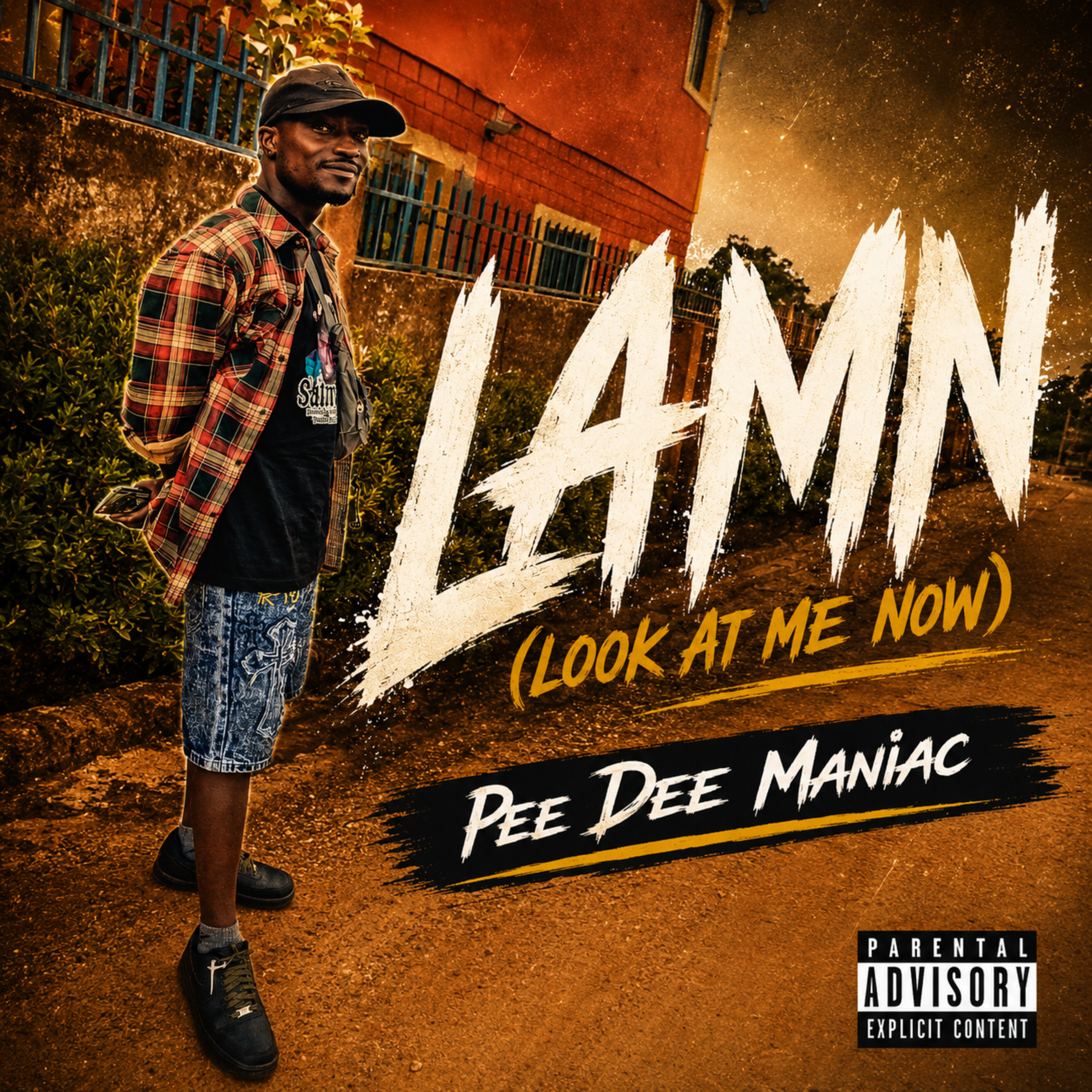 LAMN by Pee Dee Maniac cover art