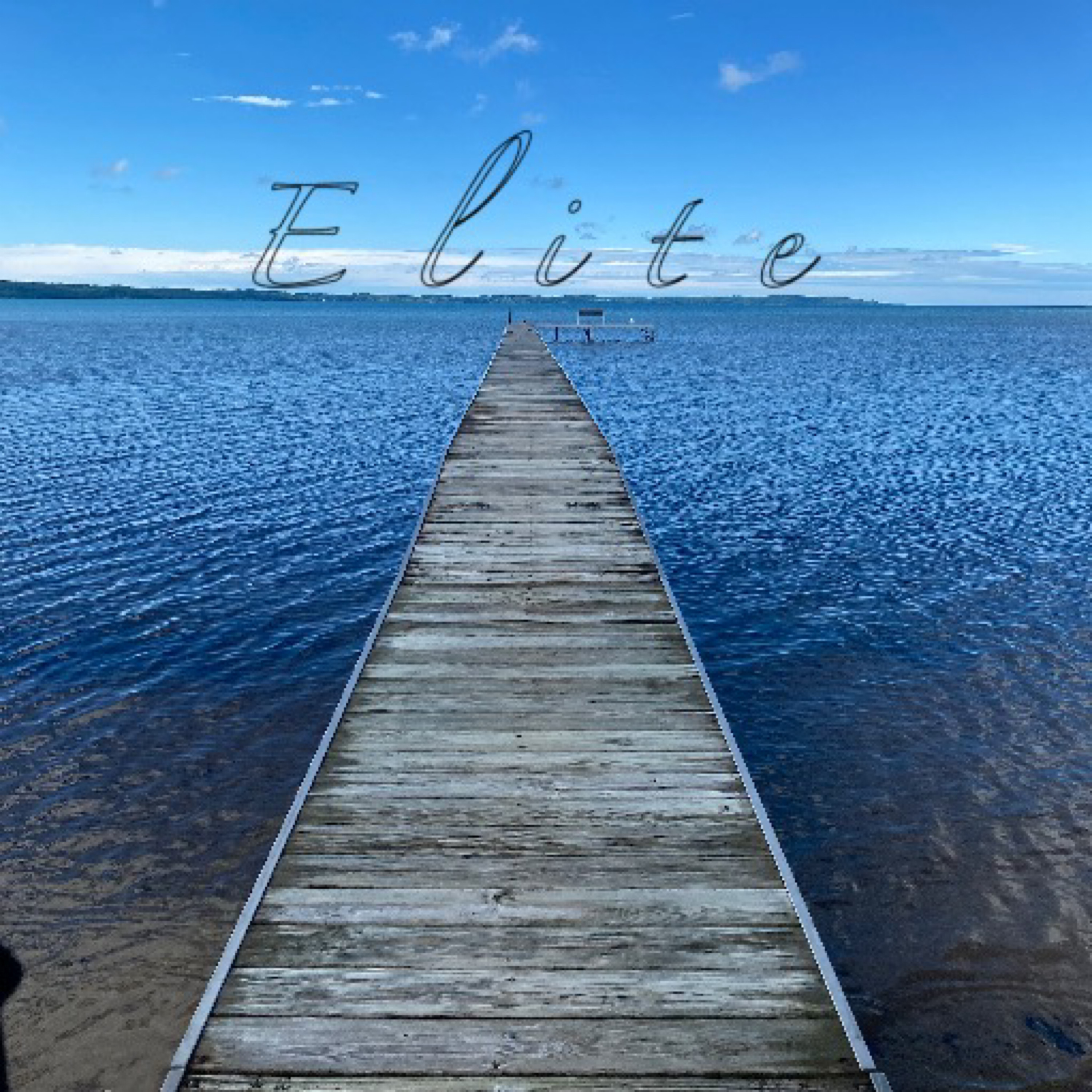 Elite artwork