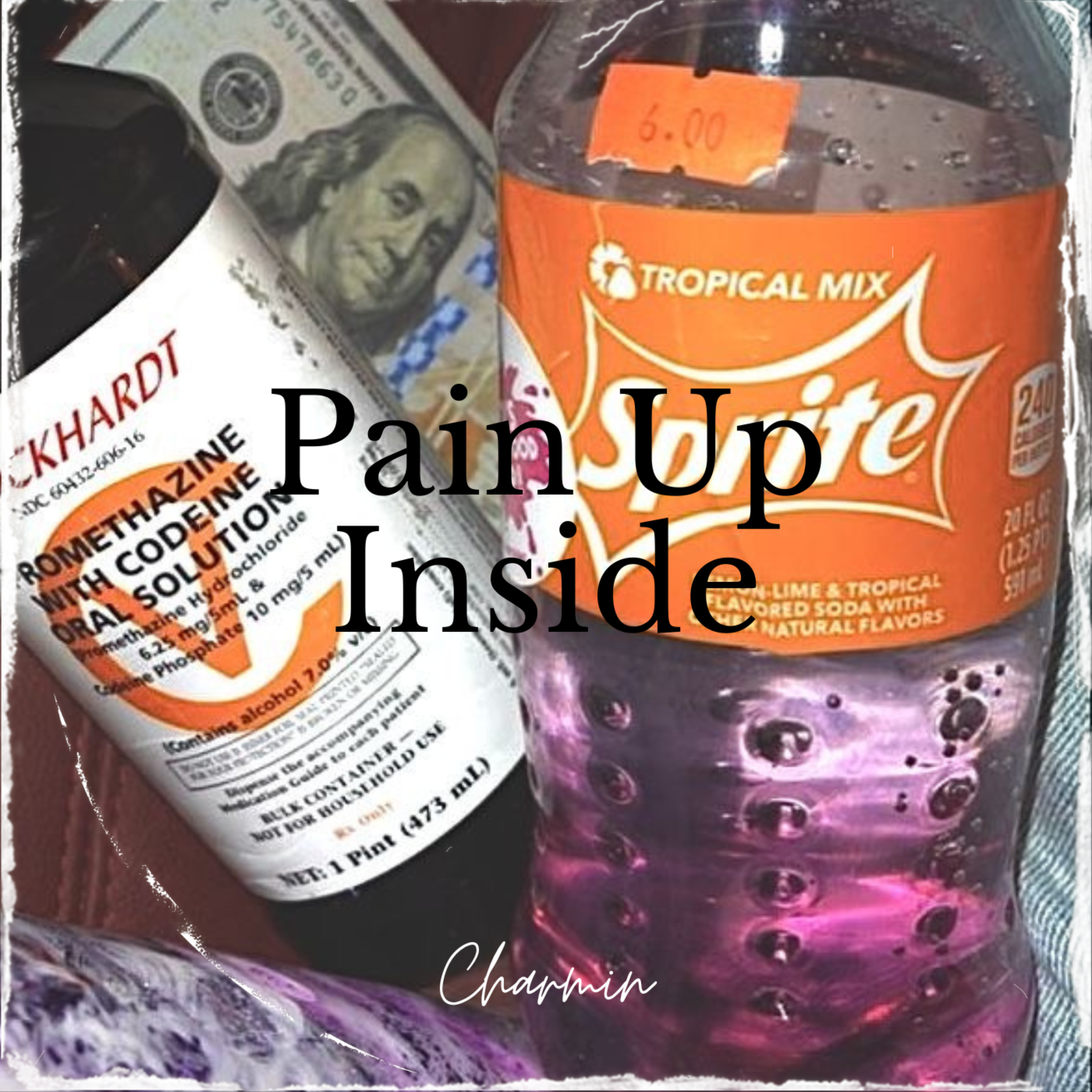 Pain Up Inside by Charmin Ace cover art