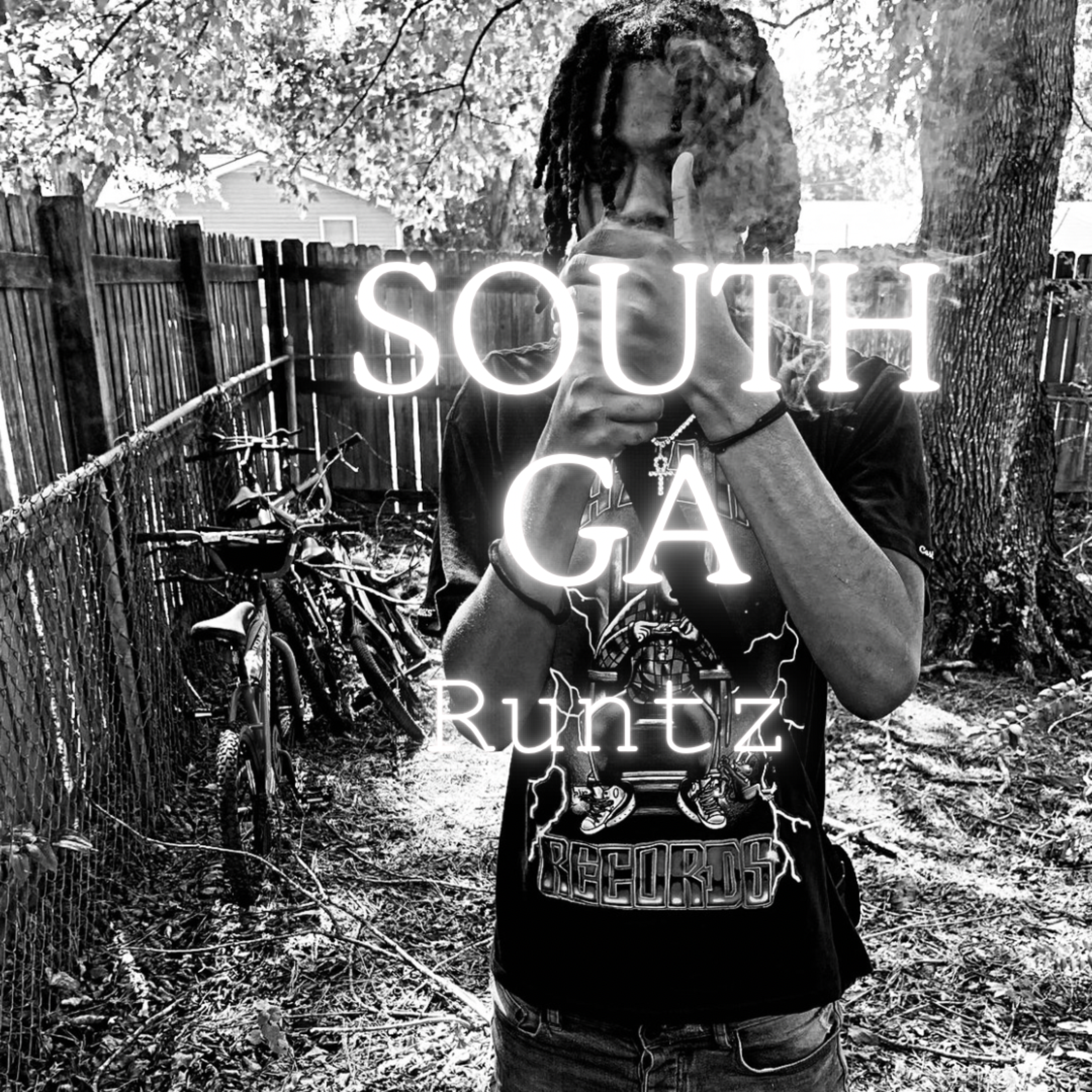 South Ga artwork