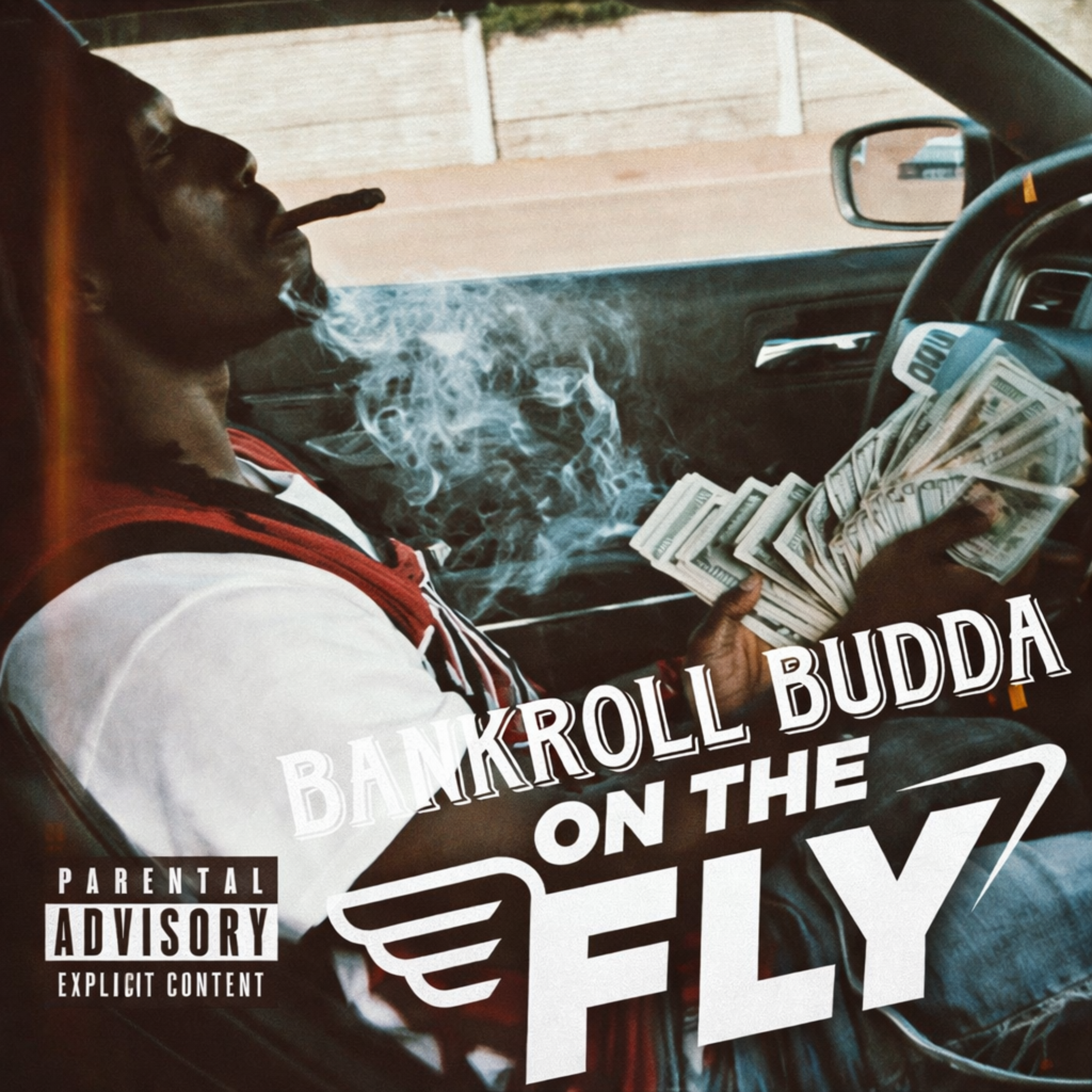On The Fly artwork