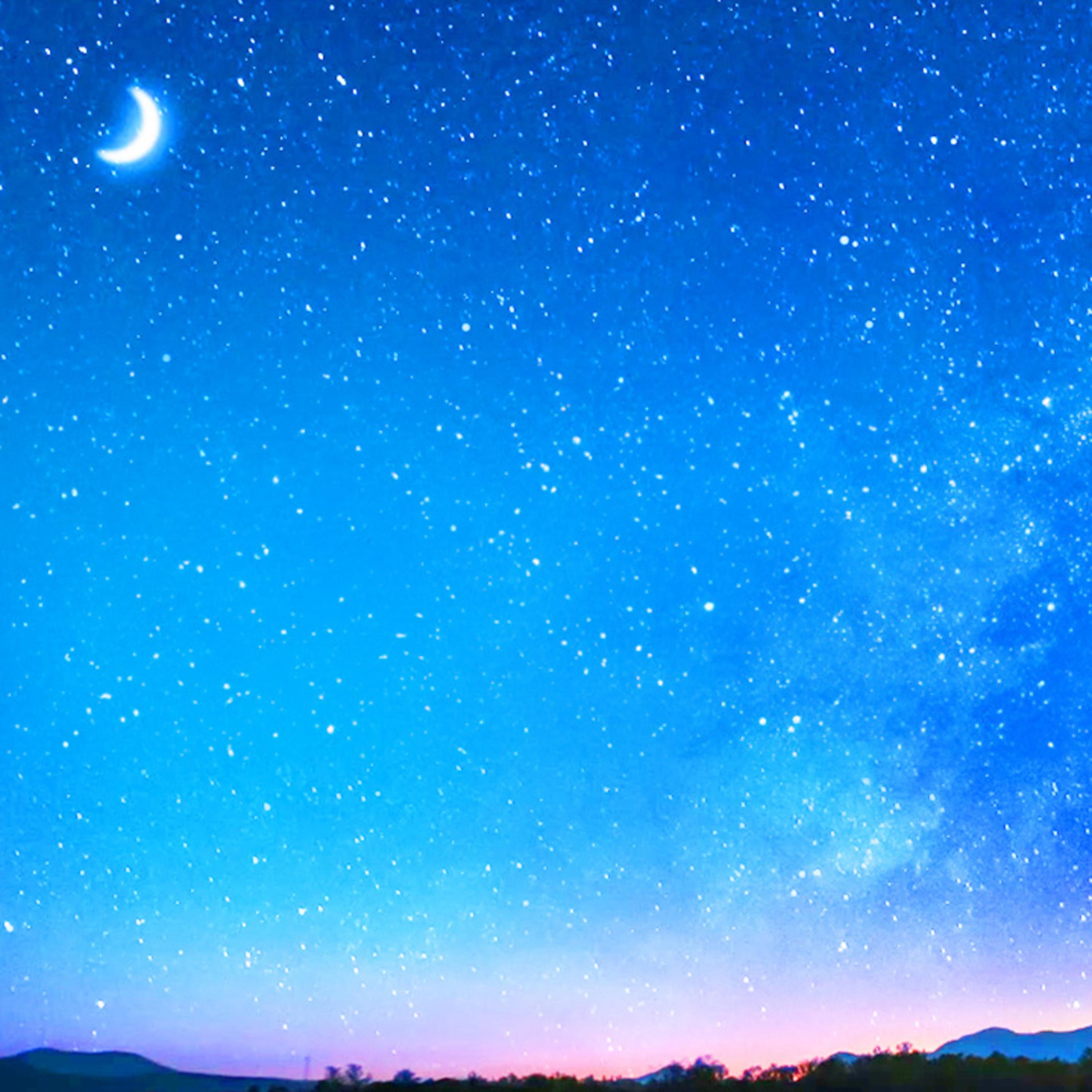 Cricket Sounds artwork