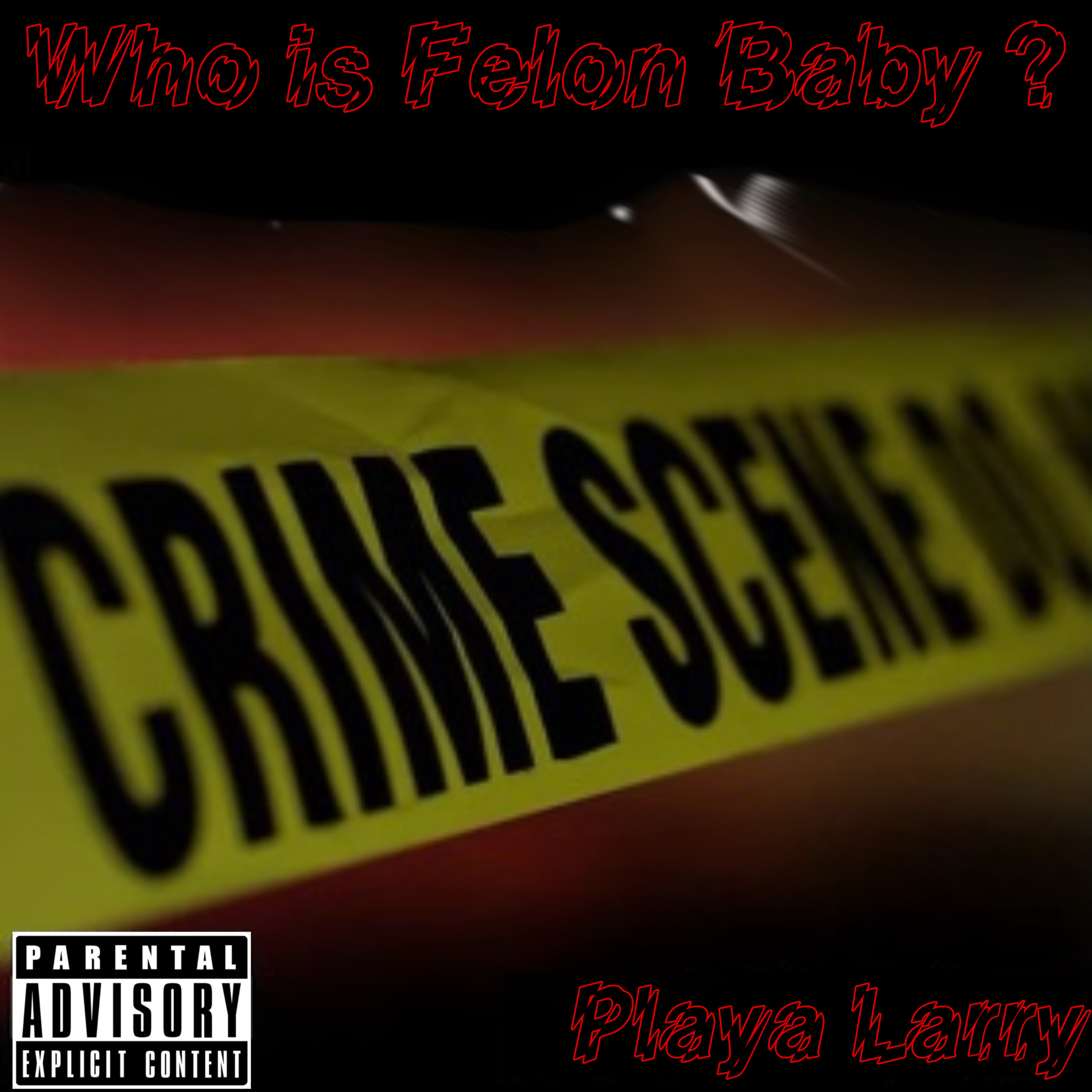 Who Is FelonBaby? artwork