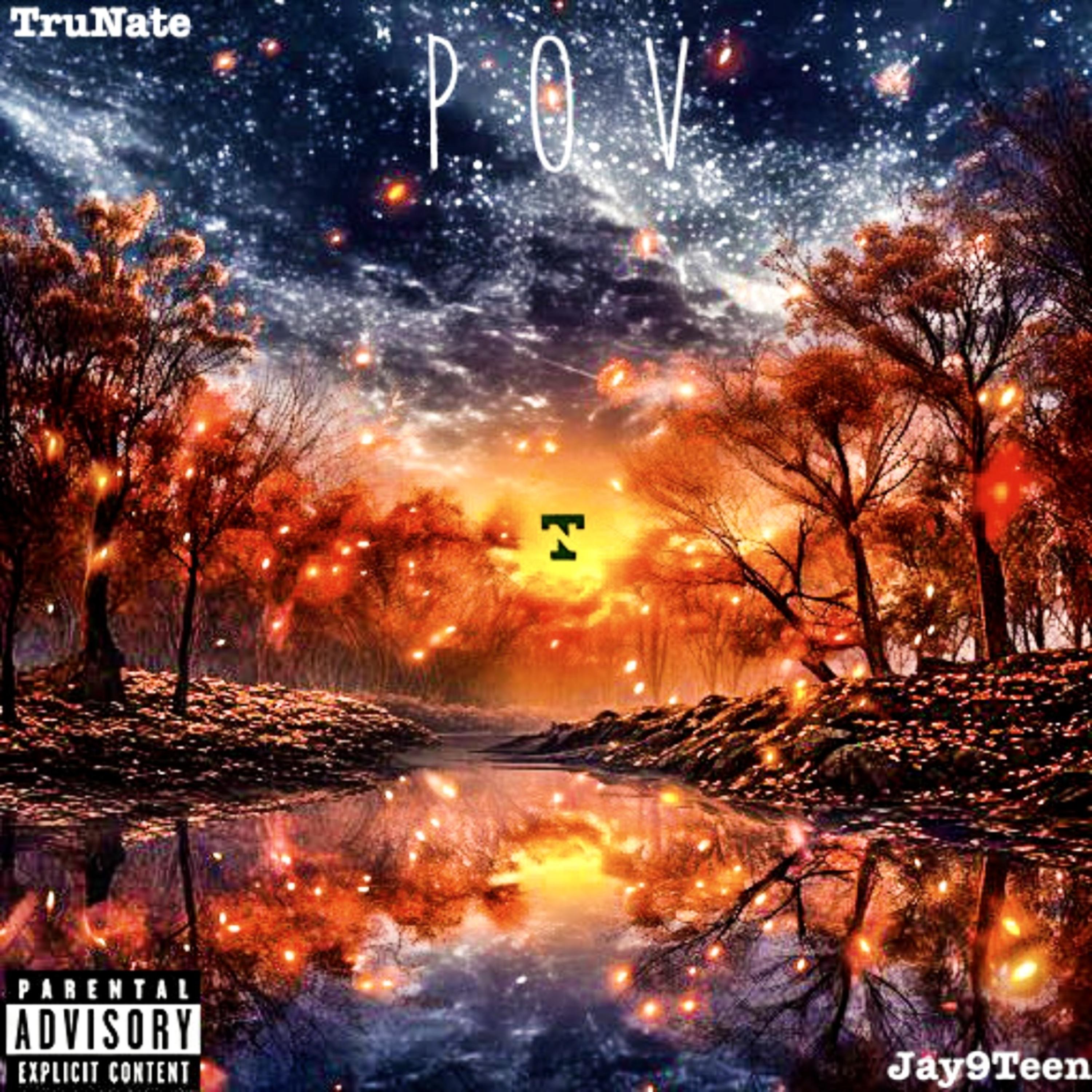P.O.V. artwork