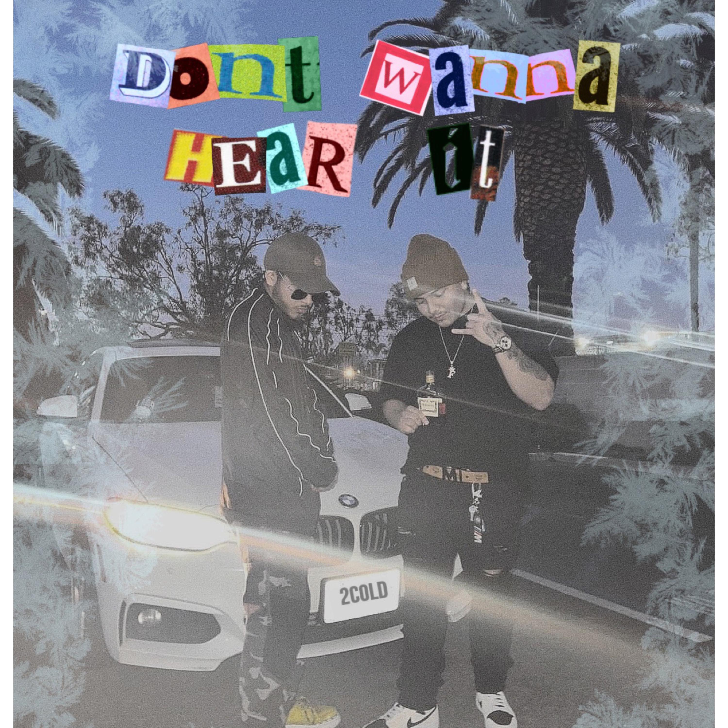 Dont Wanna Hear It artwork