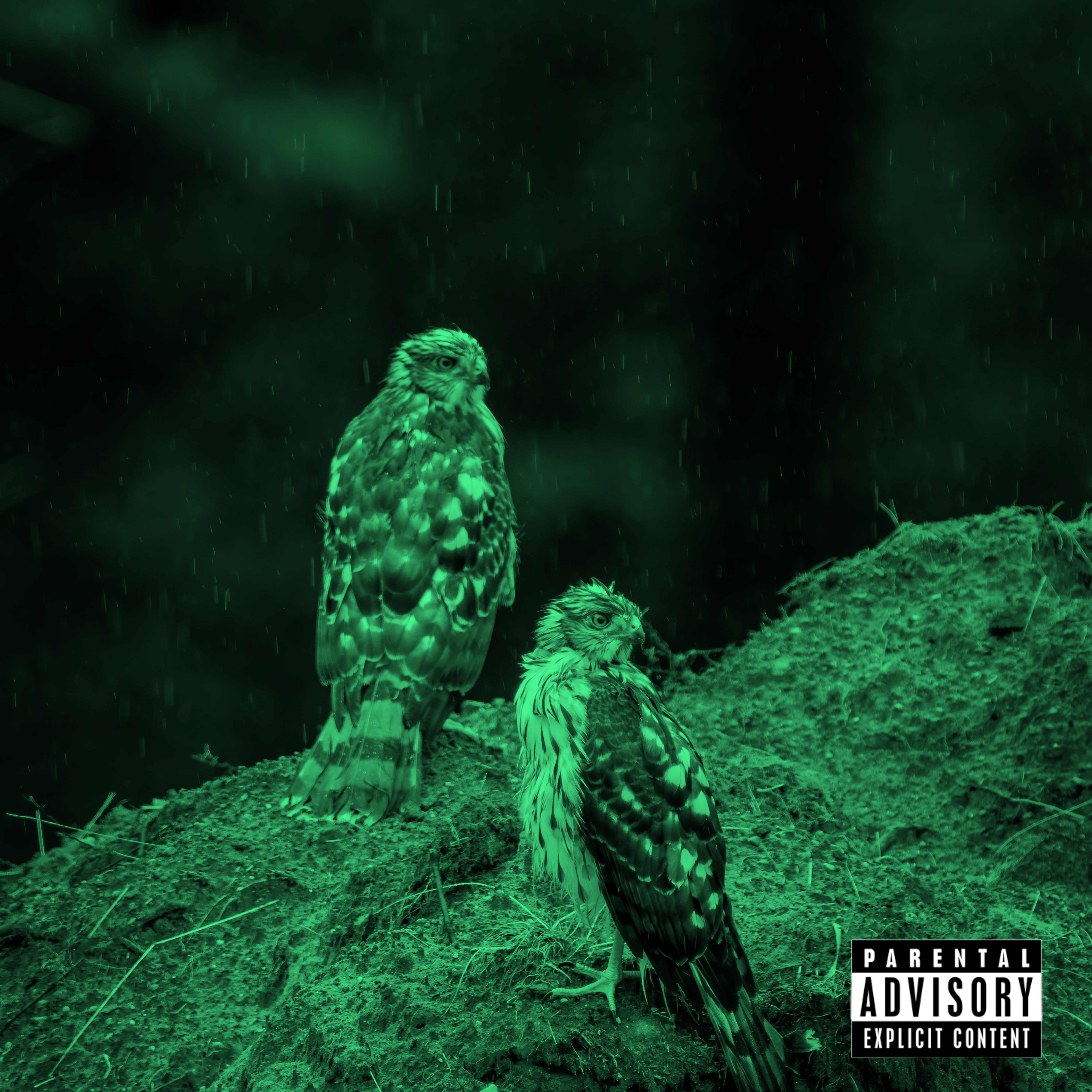 2 Birds 1 Stone artwork