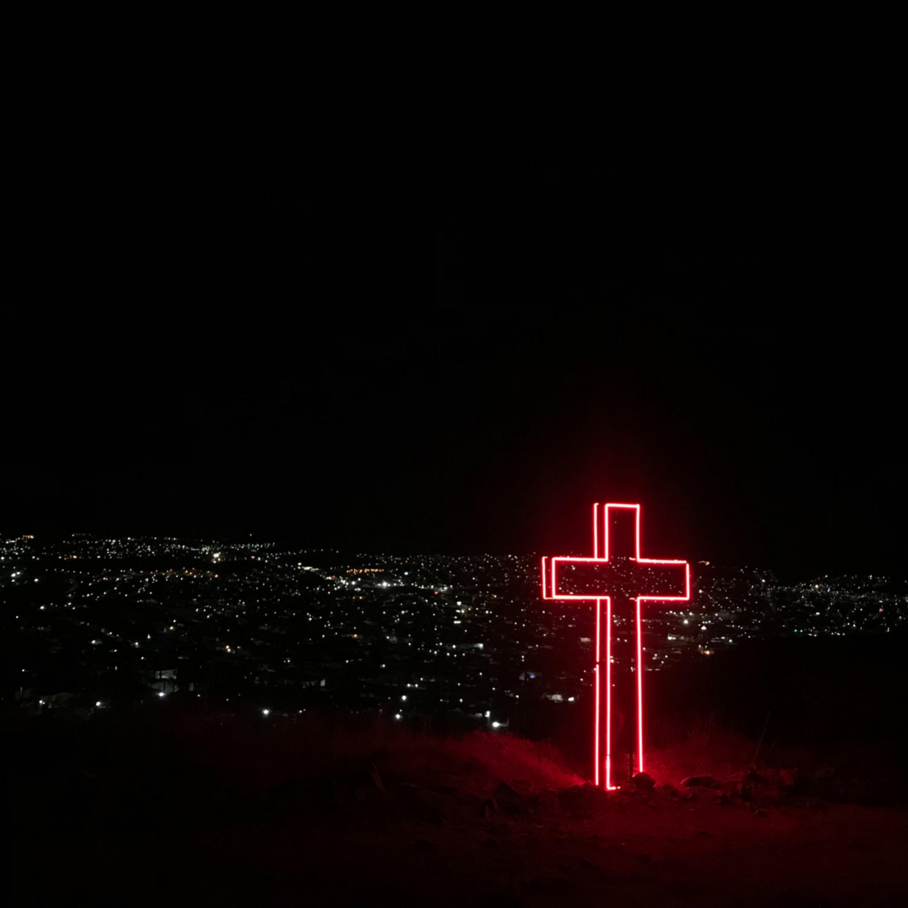 Persona Non Grata artwork