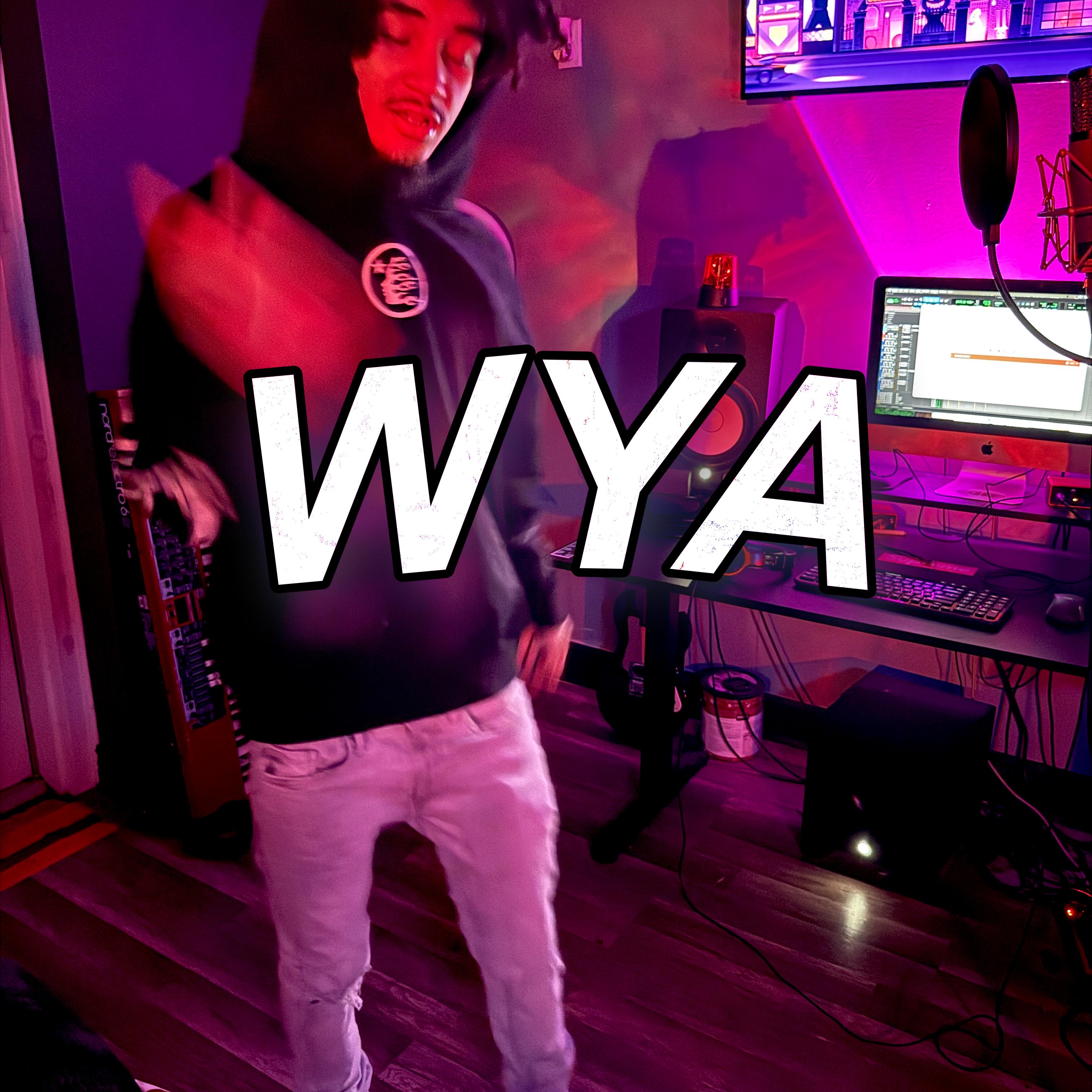 WYA by TB Duke cover art