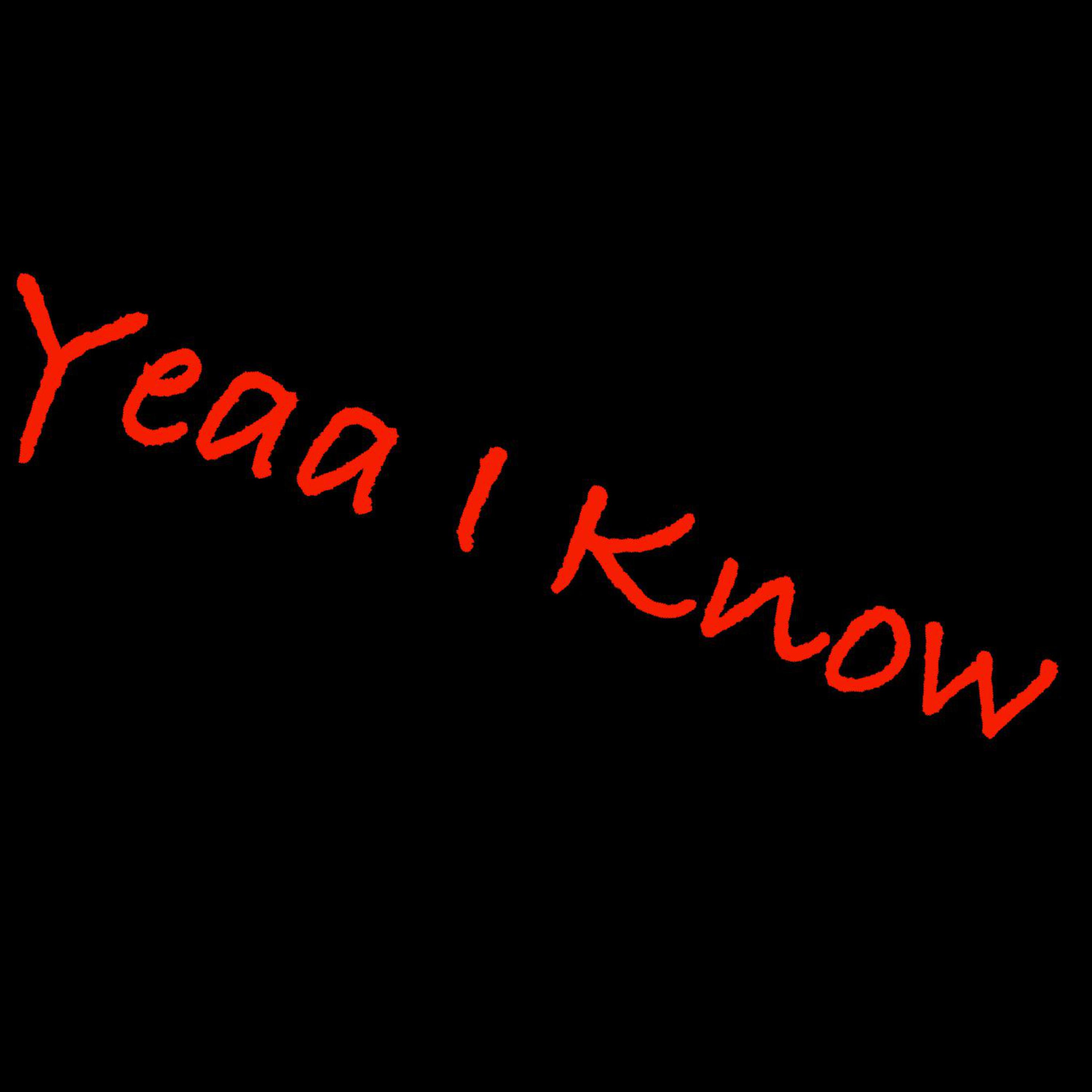 Yeaa I Know artwork