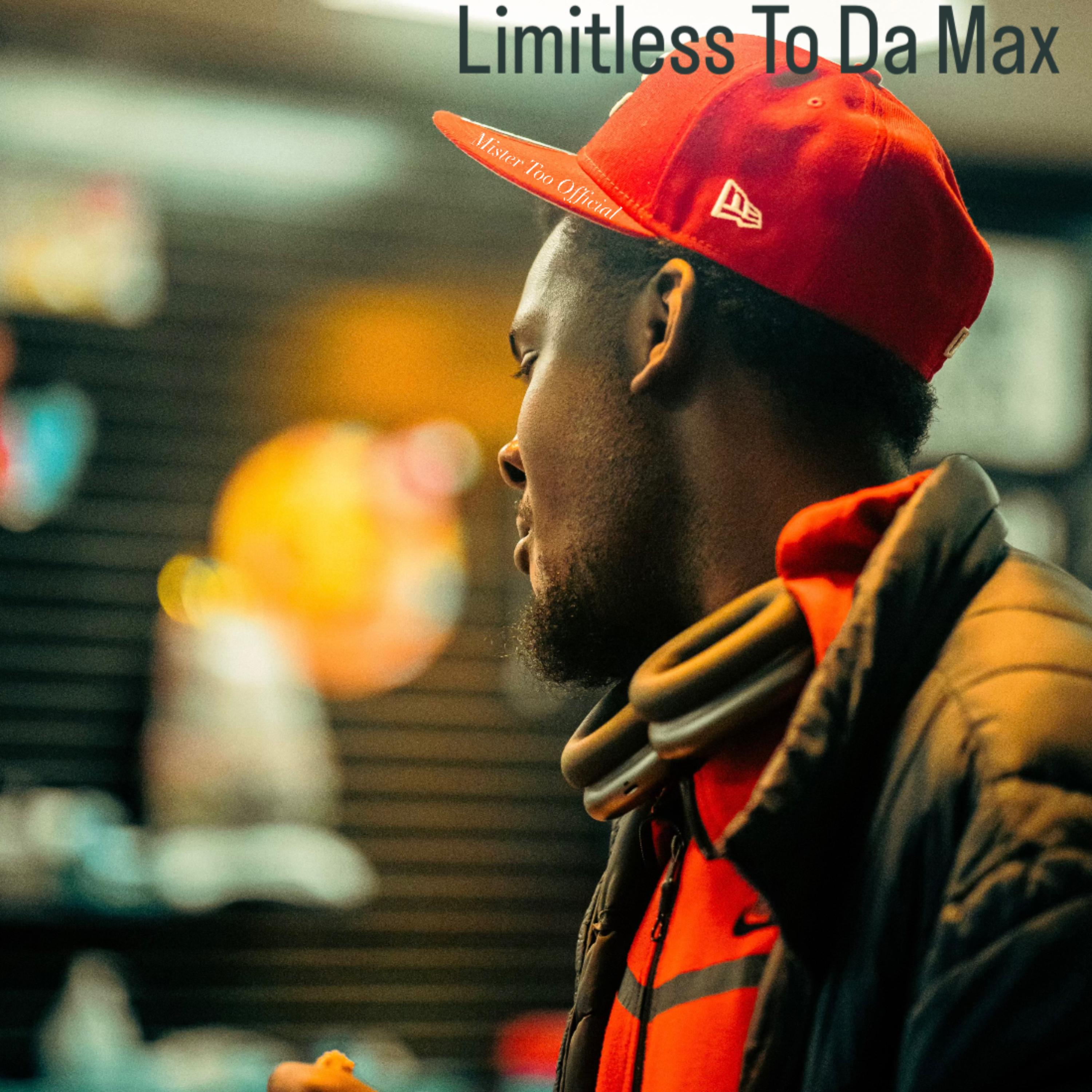 Limitless To Da Max artwork