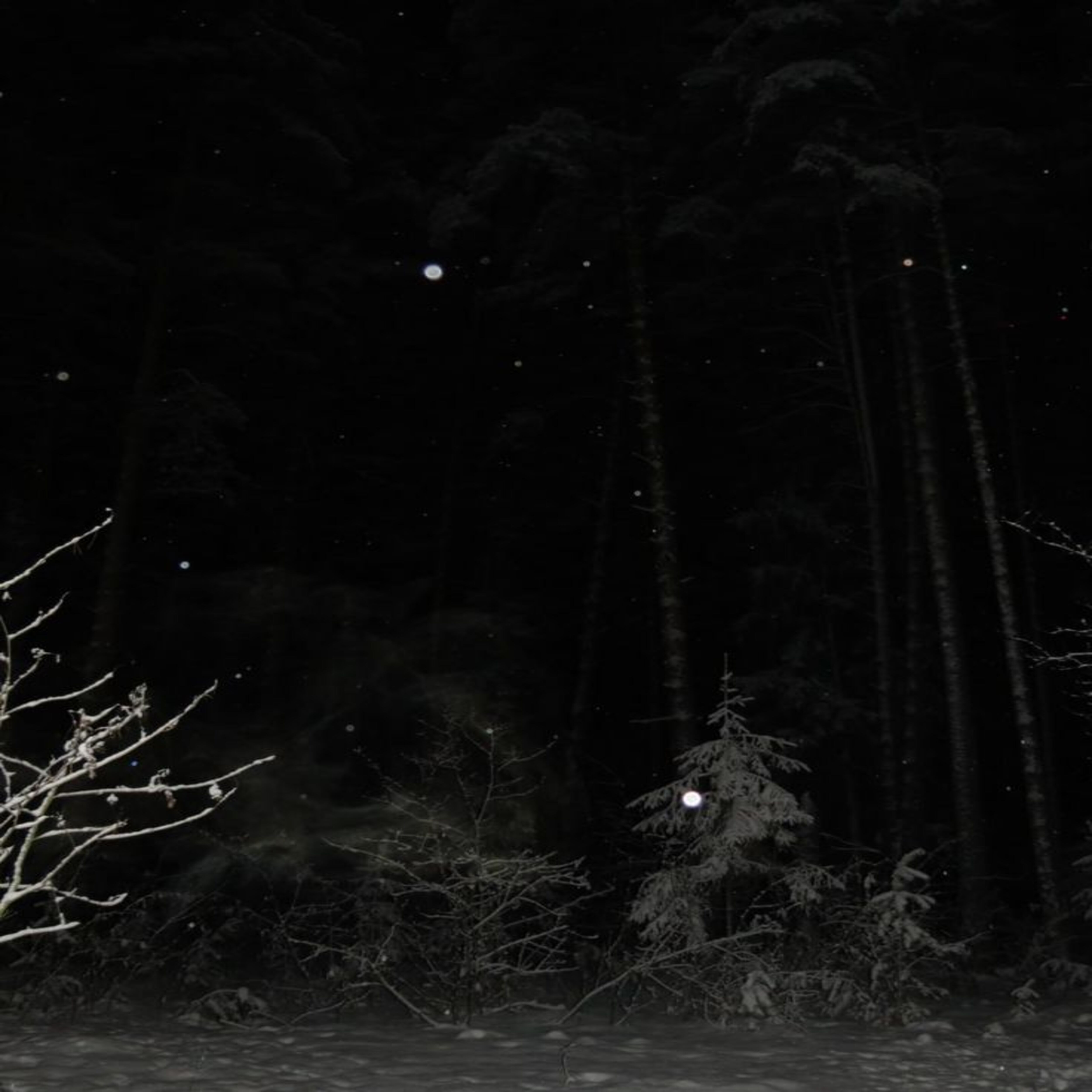 Magic Lights artwork