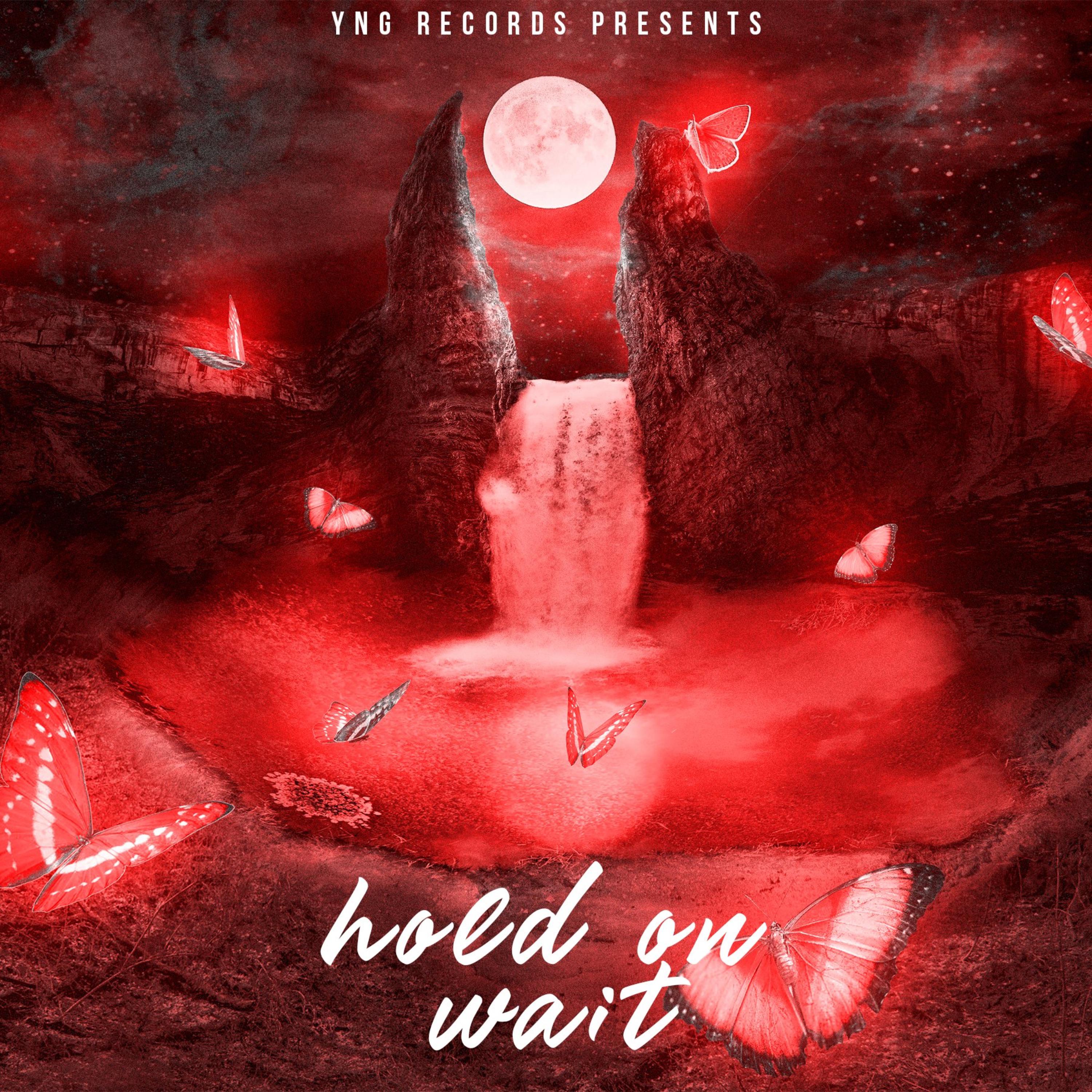 Hold On .. Wait by Flowskii cover art