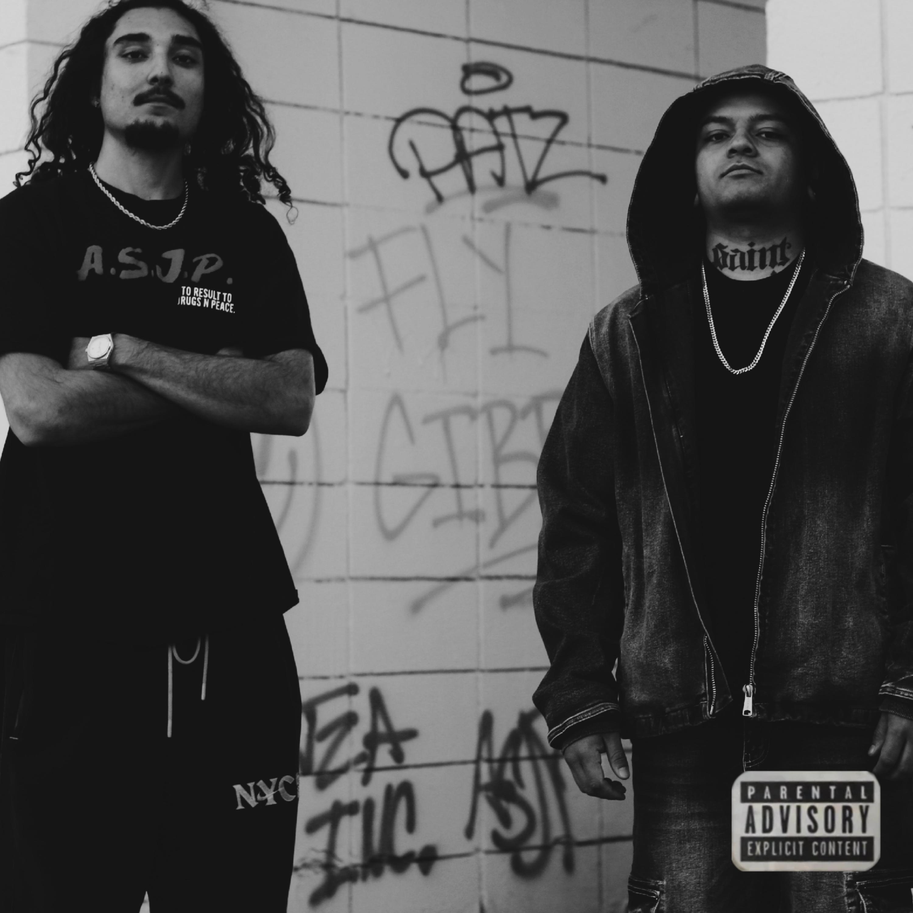 Fly Gibberish artwork