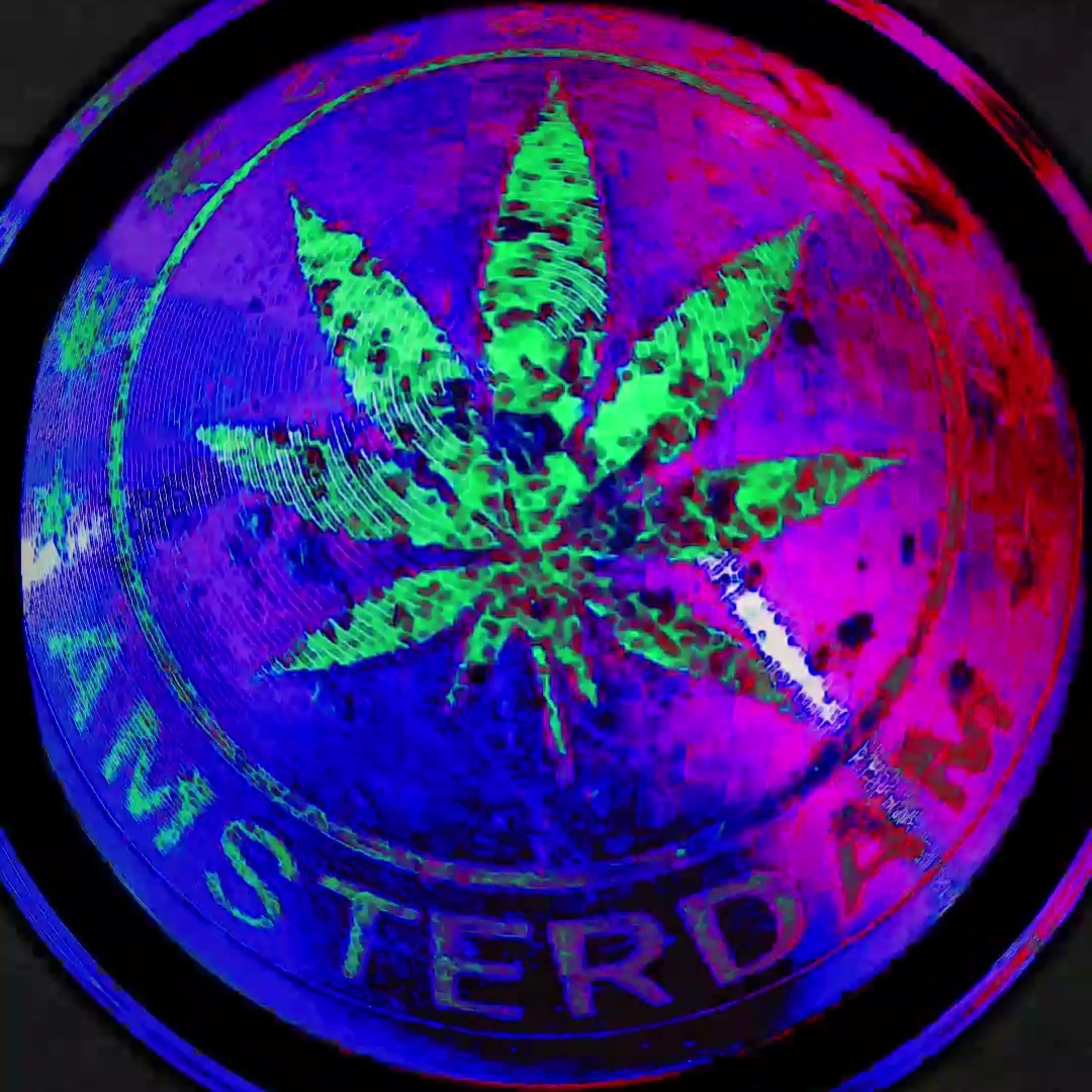 A M S T E R D A M artwork