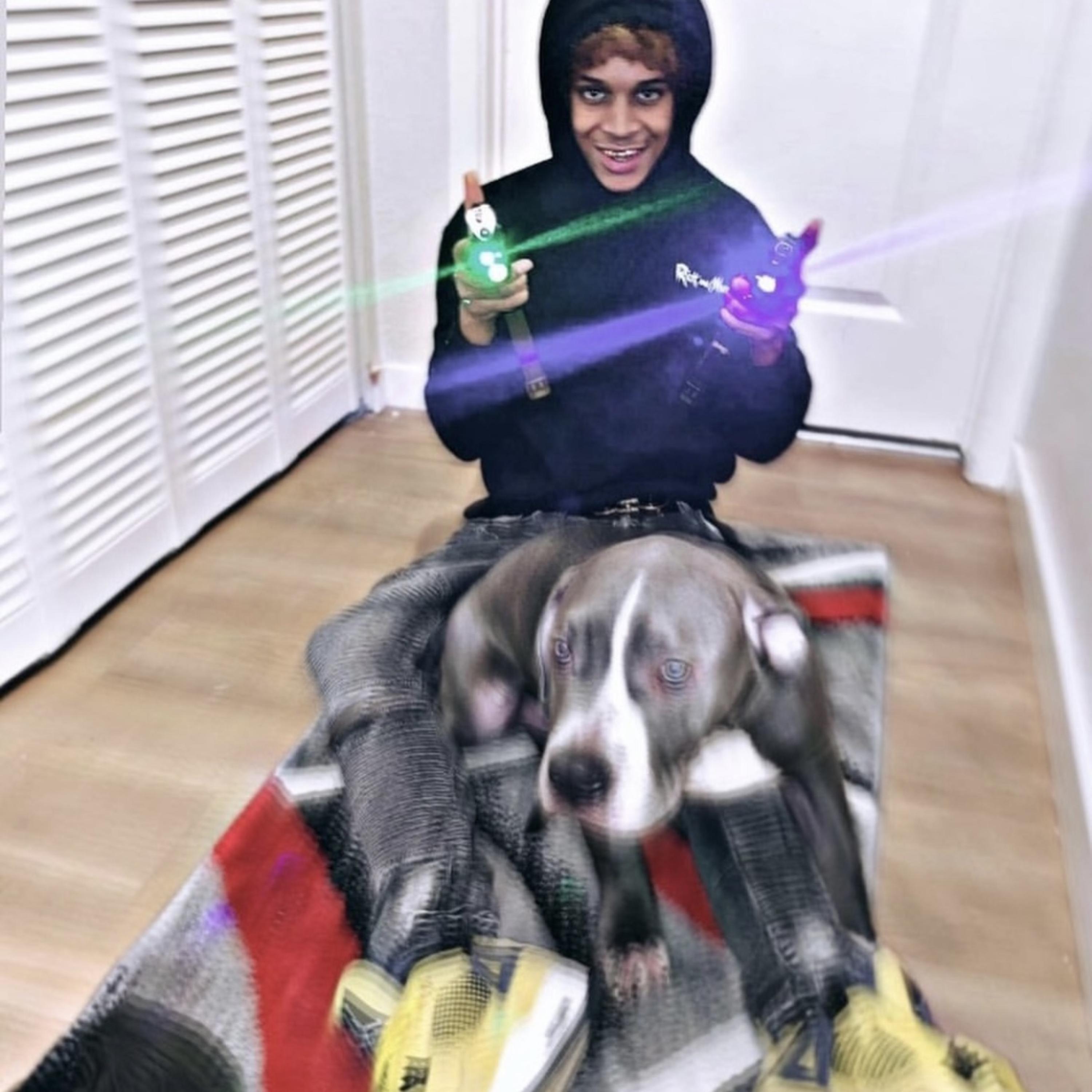 Slidee artwork