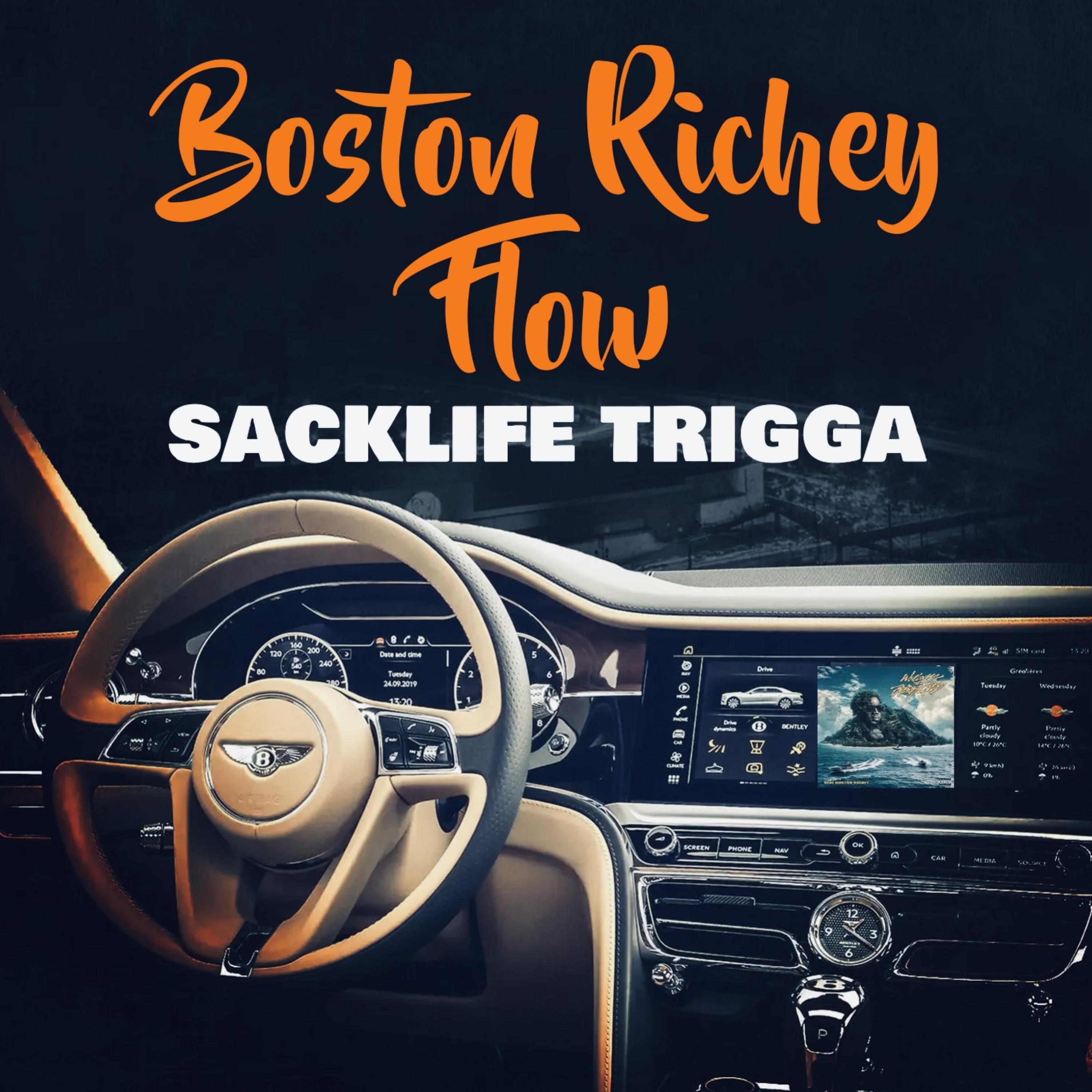 Boston Richey Flow by Sacklife Trigga cover art