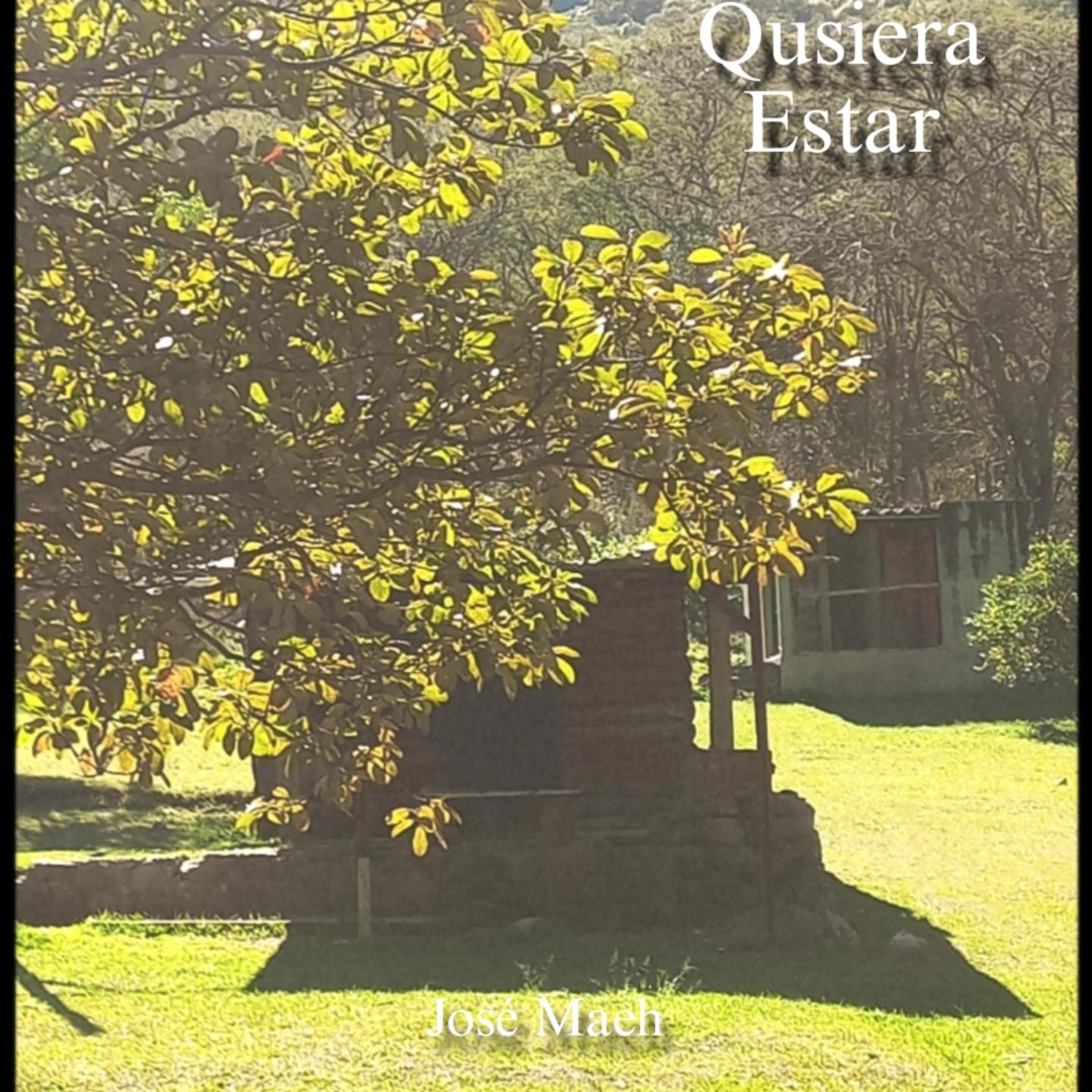 Quisiera Estar artwork