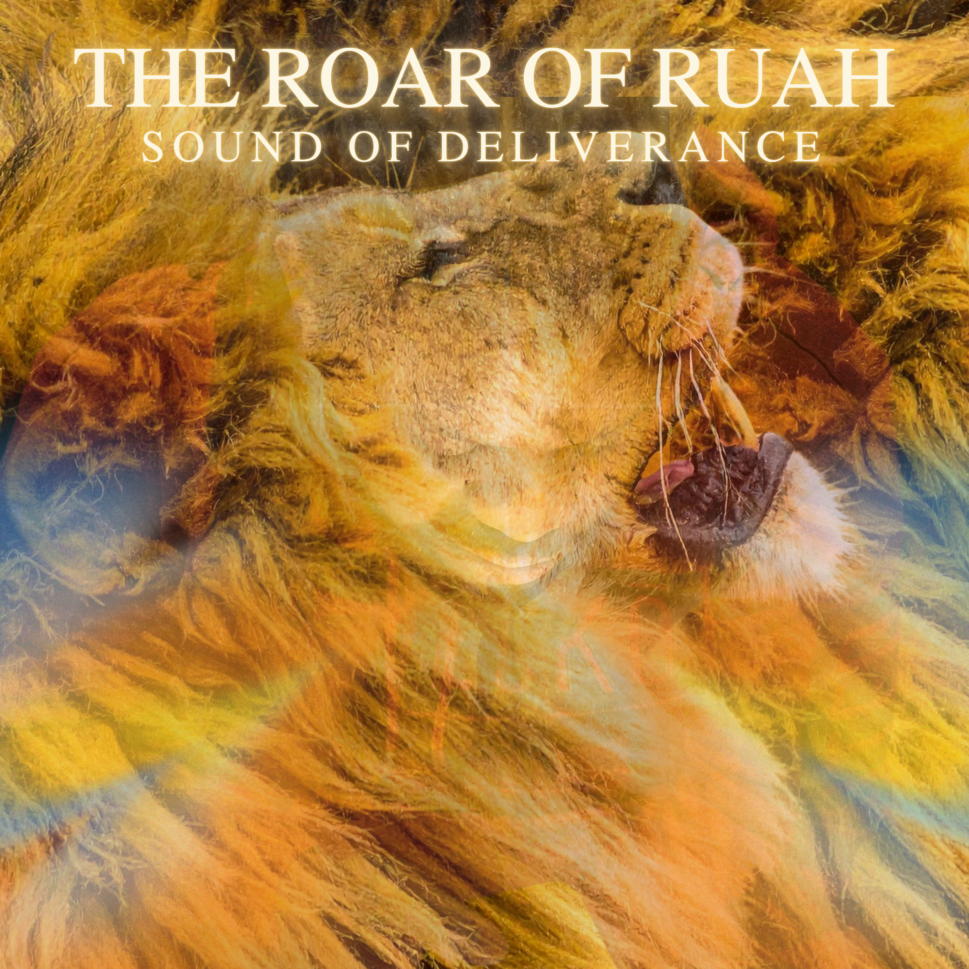 The Roar of Ruah - Sound of Deliverance artwork