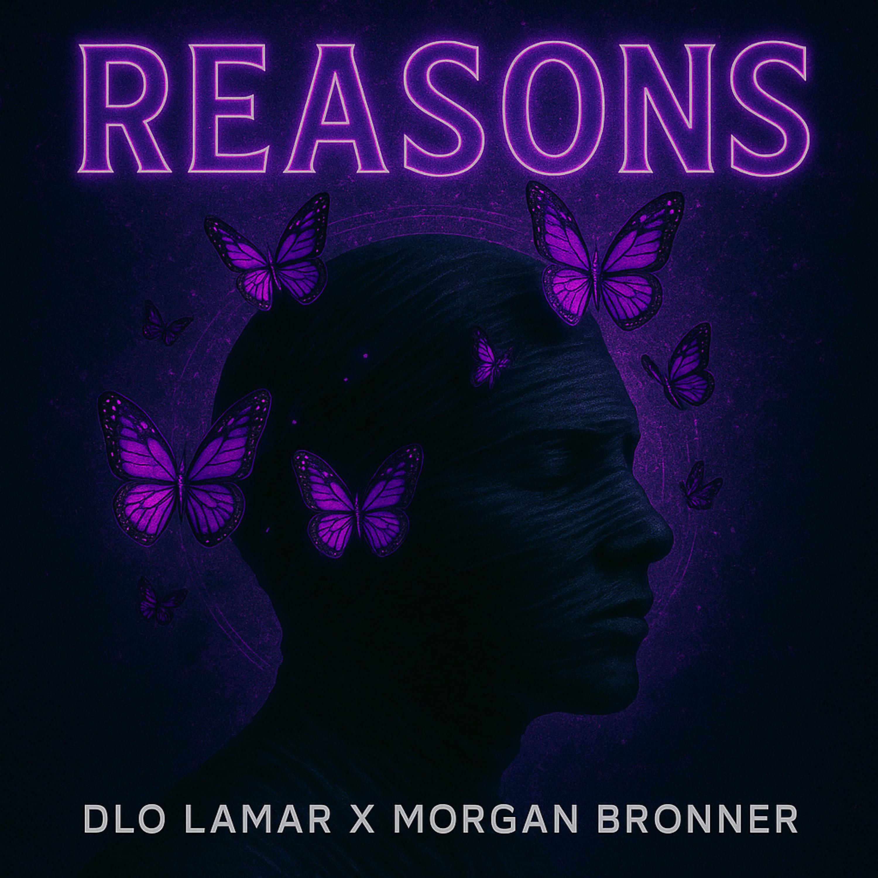 Reasons artwork