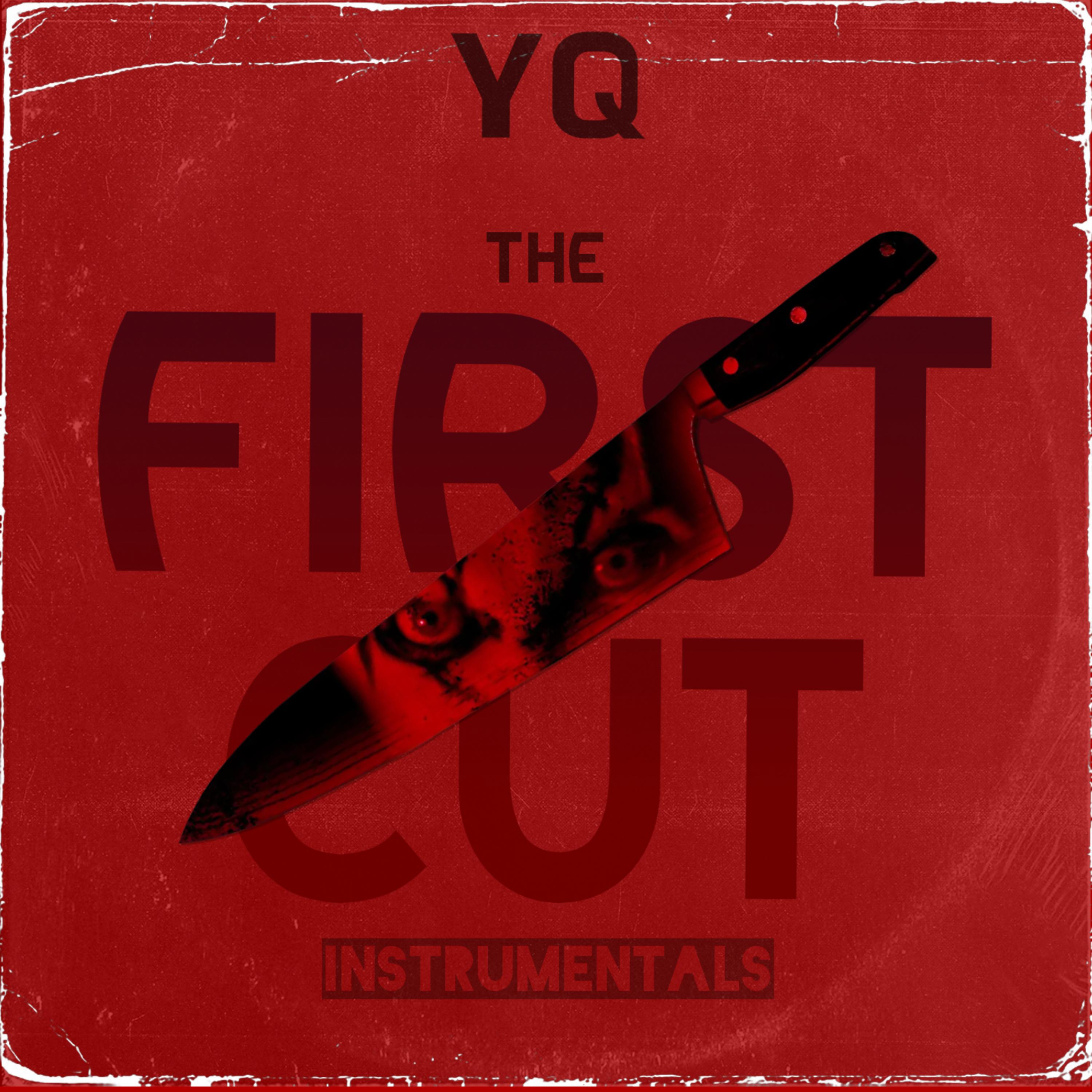 The First Cut by YQ cover art