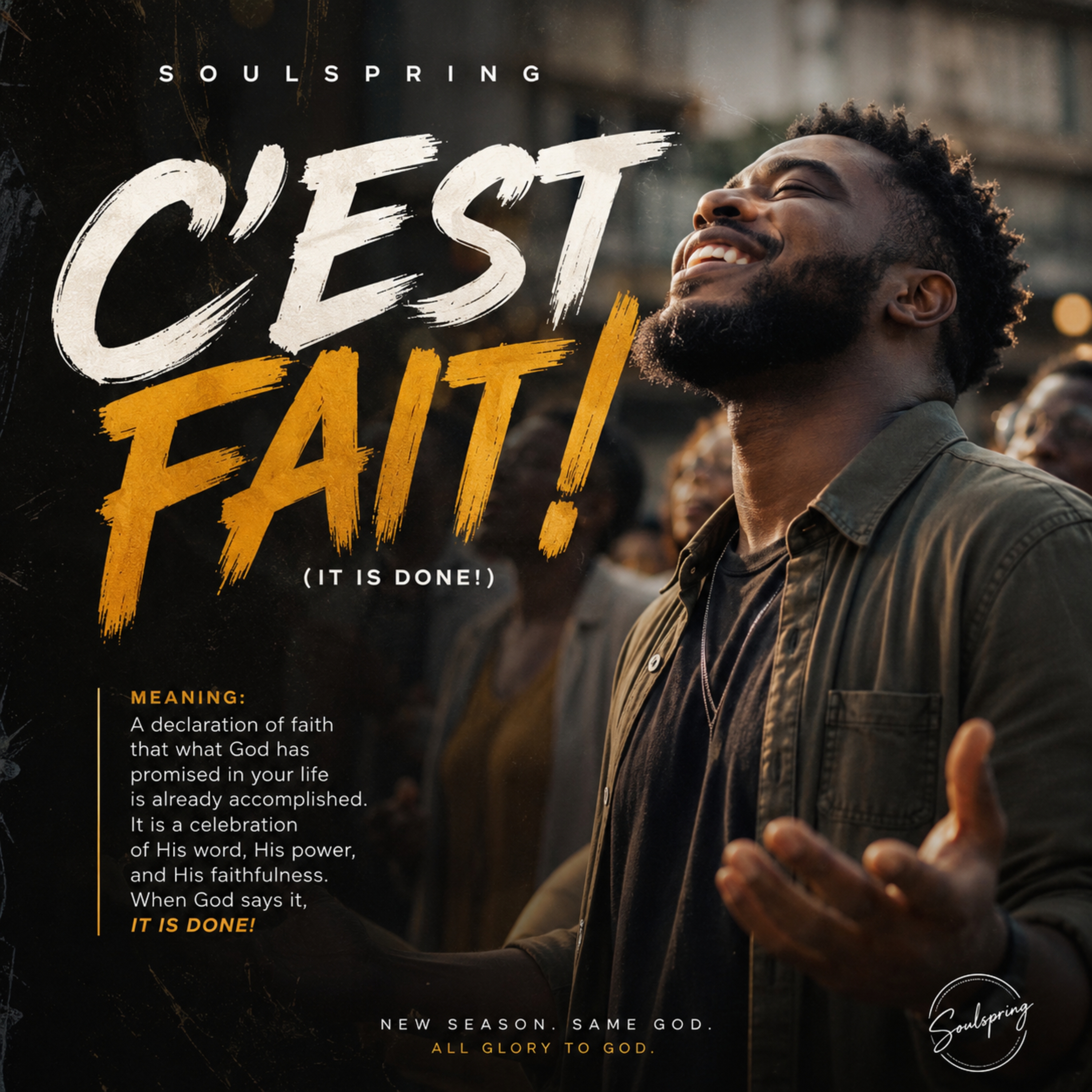 C'EST FAIT ( IT IS DONE!) by Soulspring cover art