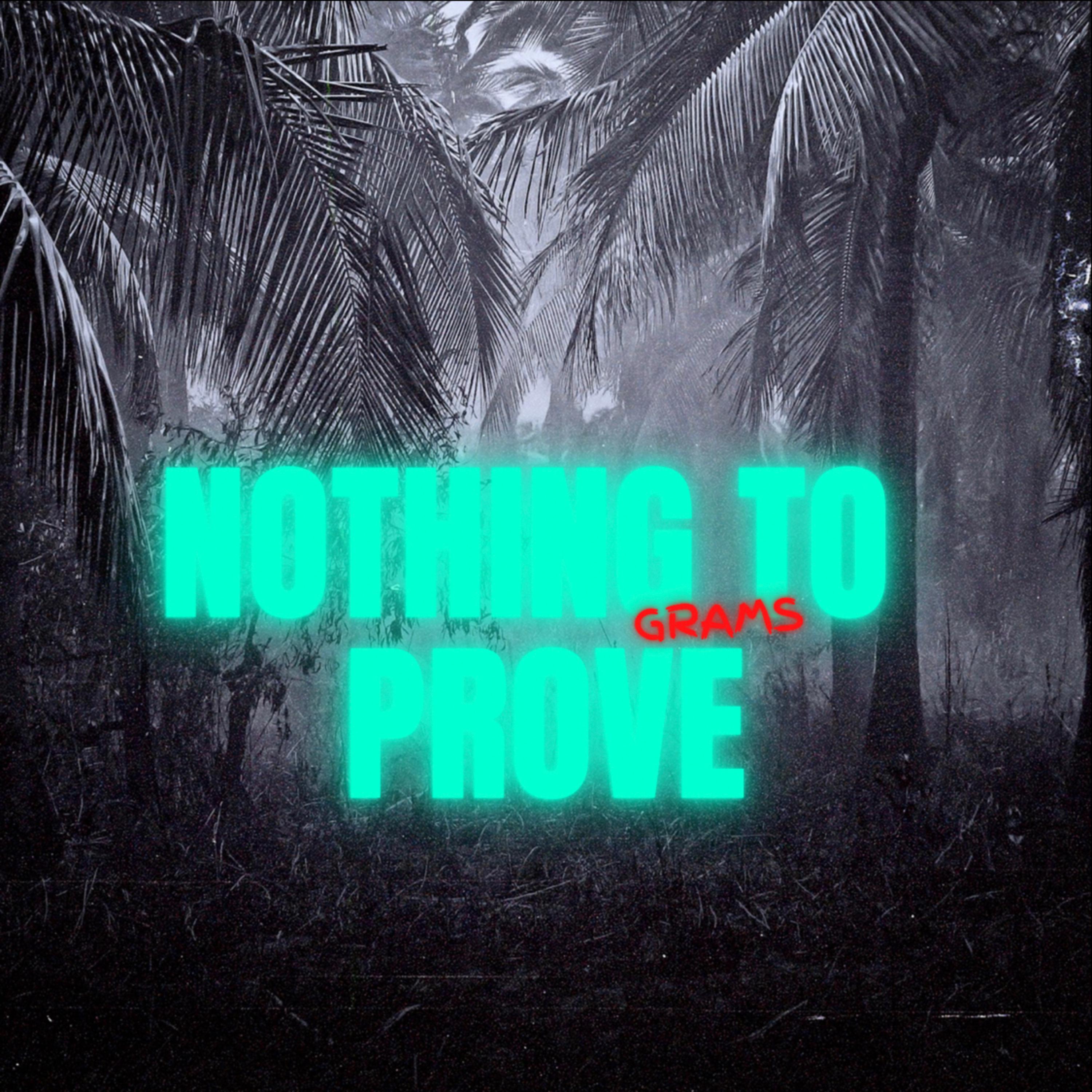 Nothing To Prove artwork