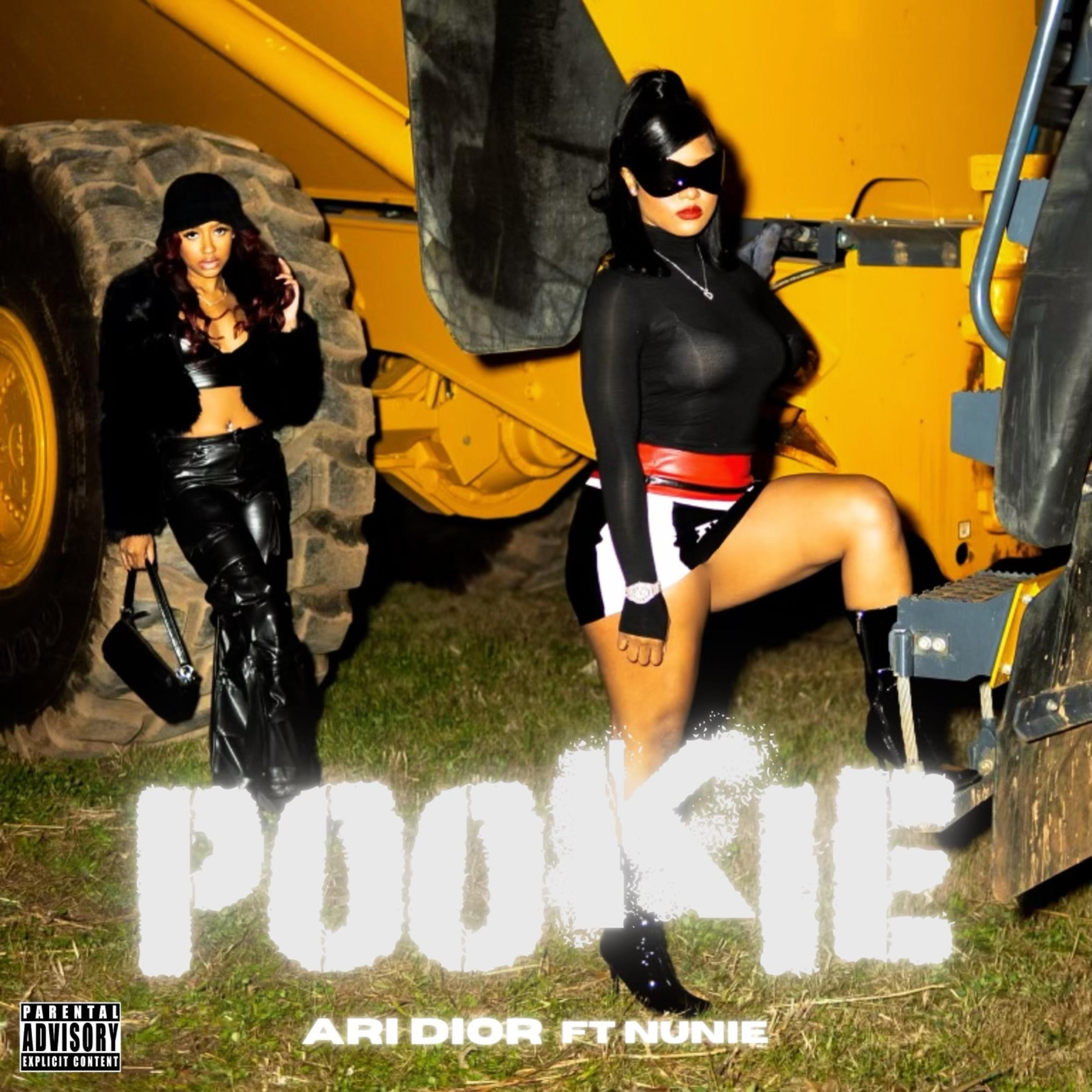 Pookie artwork