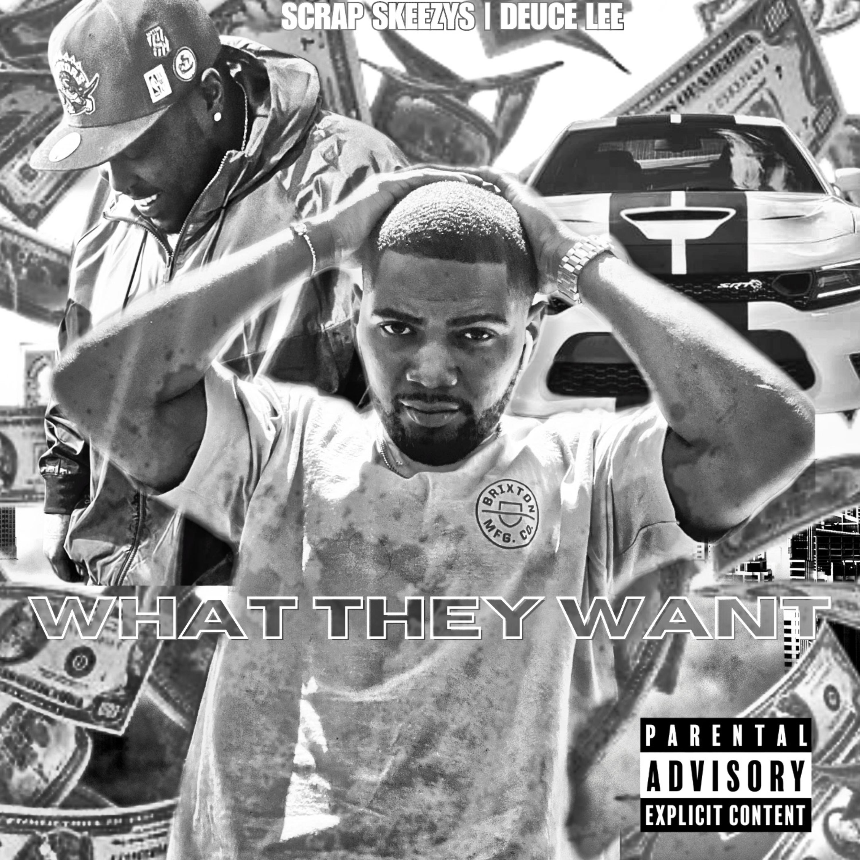 What They Want artwork