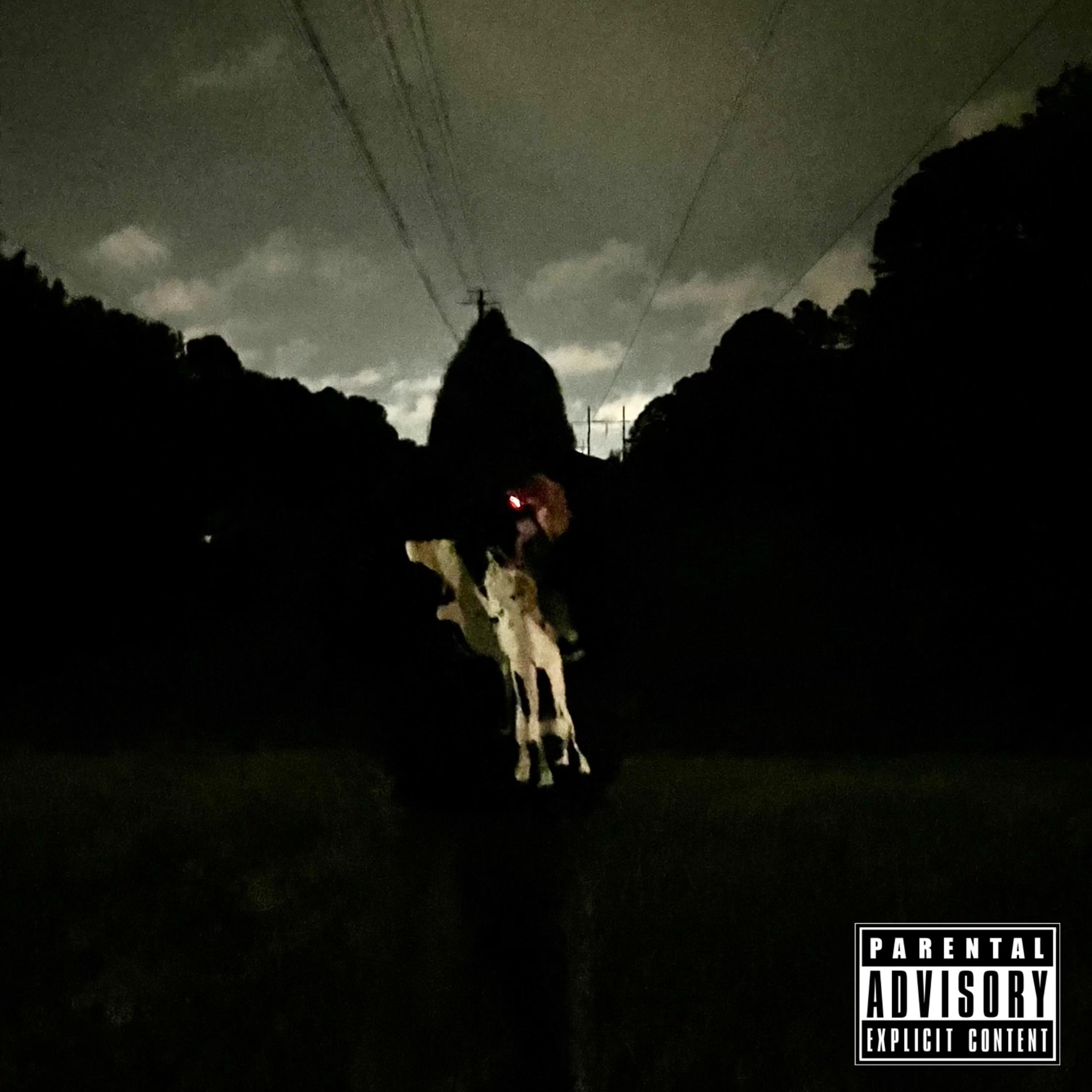 Dyinginmyglory 2 by Emircapalot cover art