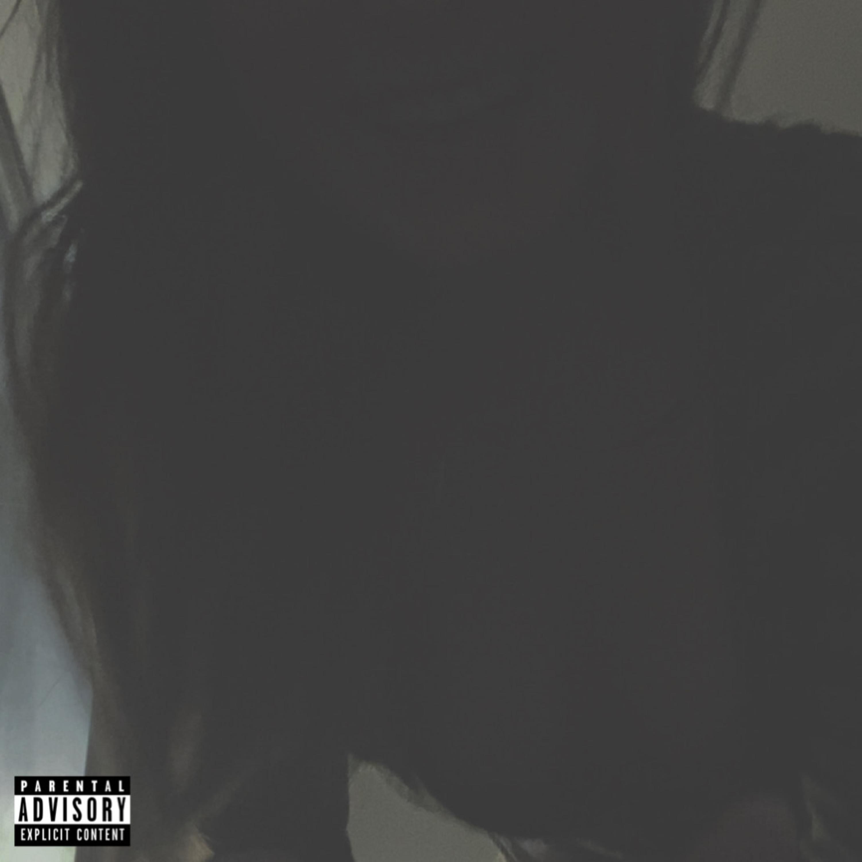 shame artwork