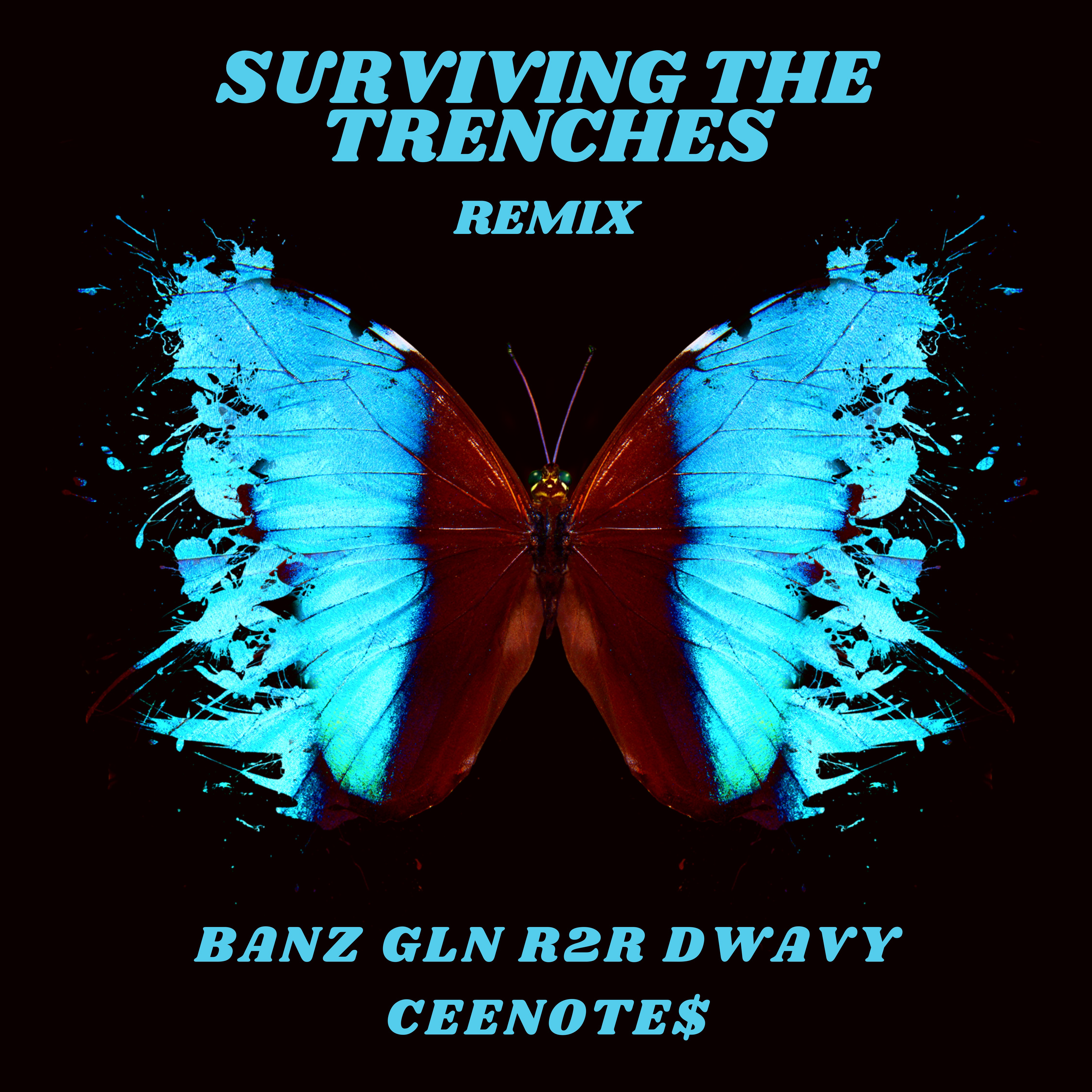 Surviving The Trenches (Remix) artwork