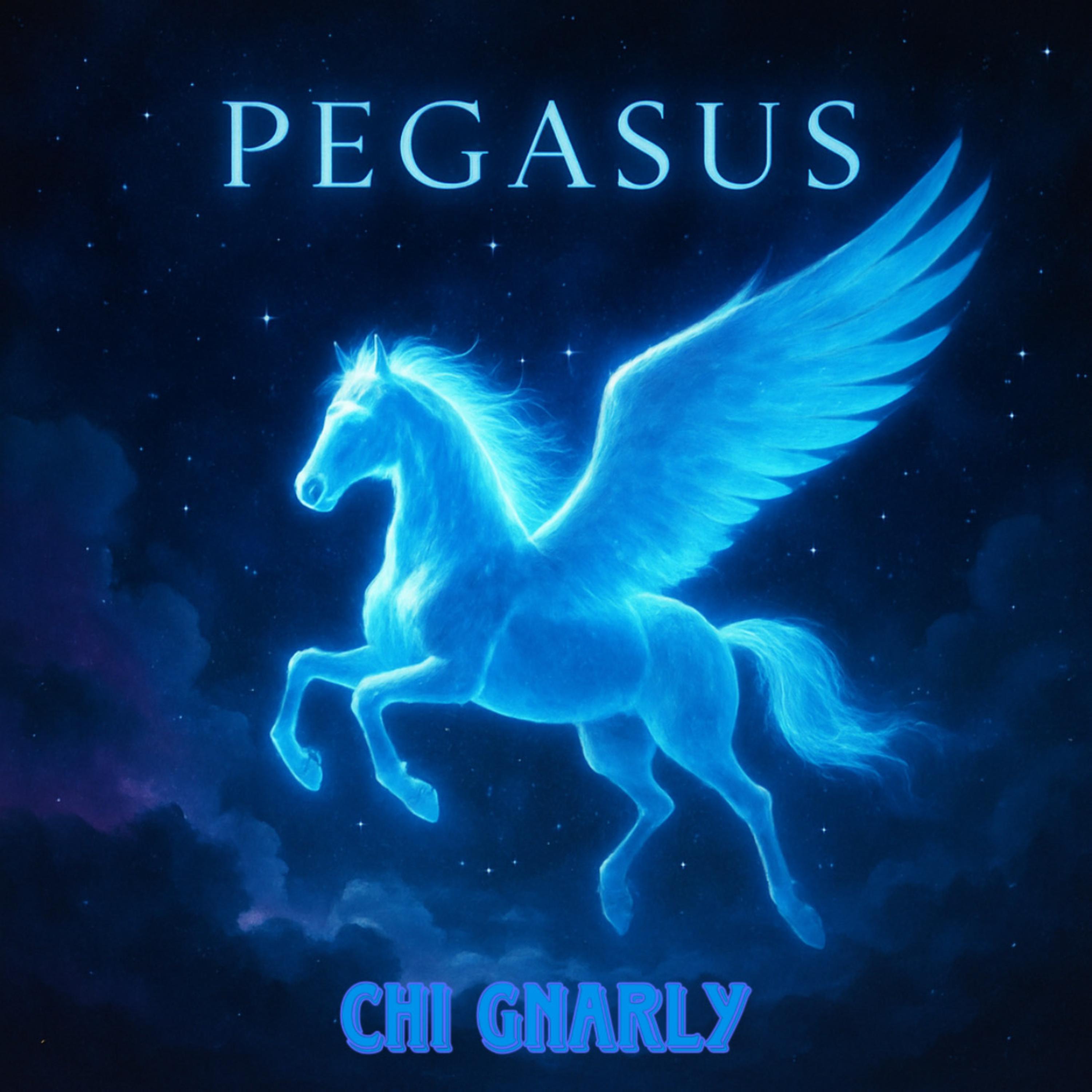 Pegasus artwork