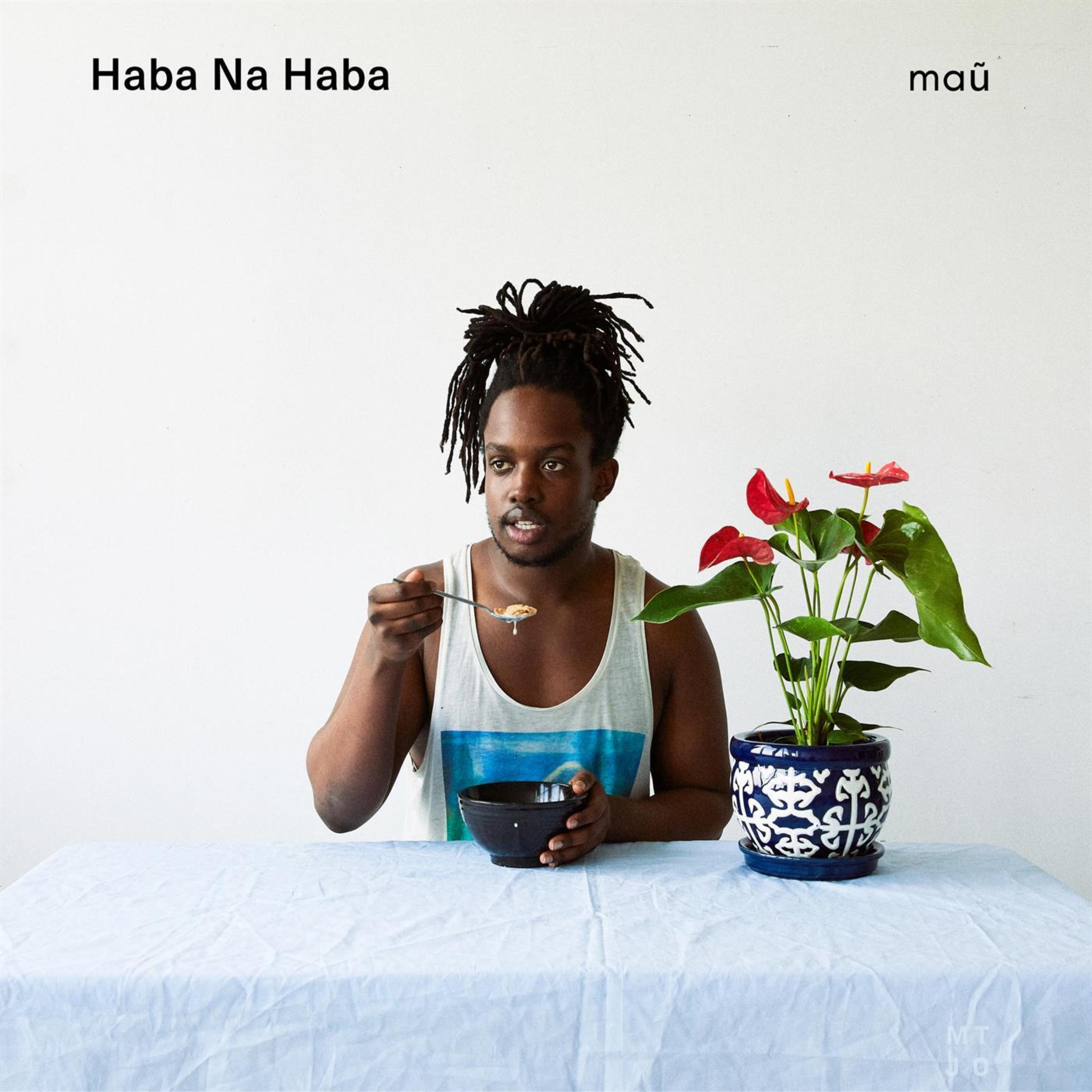 Haba Na Haba artwork